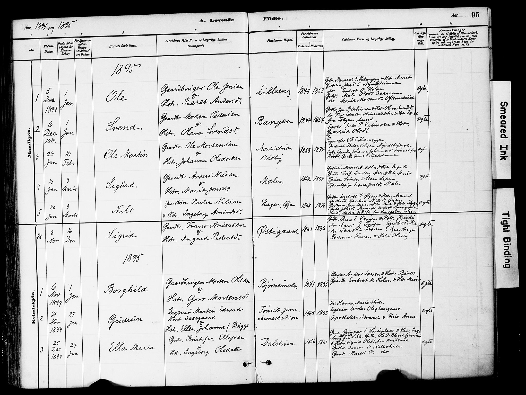 Tynset prestekontor, SAH/PREST-058/H/Ha/Haa/L0022: Parish register (official) no. 22, 1880-1899, p. 95
