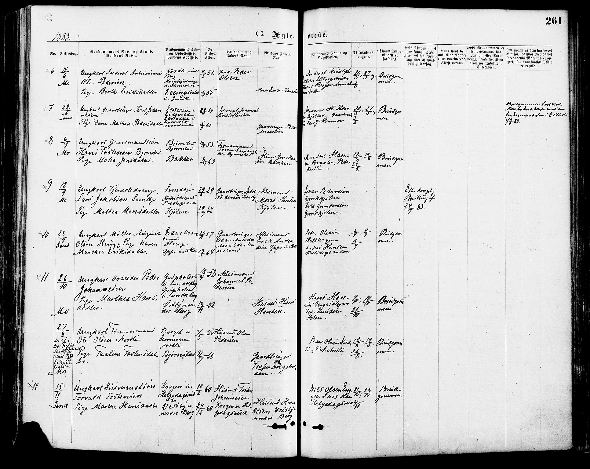 Nord-Odal prestekontor, AV/SAH-PREST-032/H/Ha/Haa/L0005: Parish register (official) no. 5, 1874-1885, p. 261