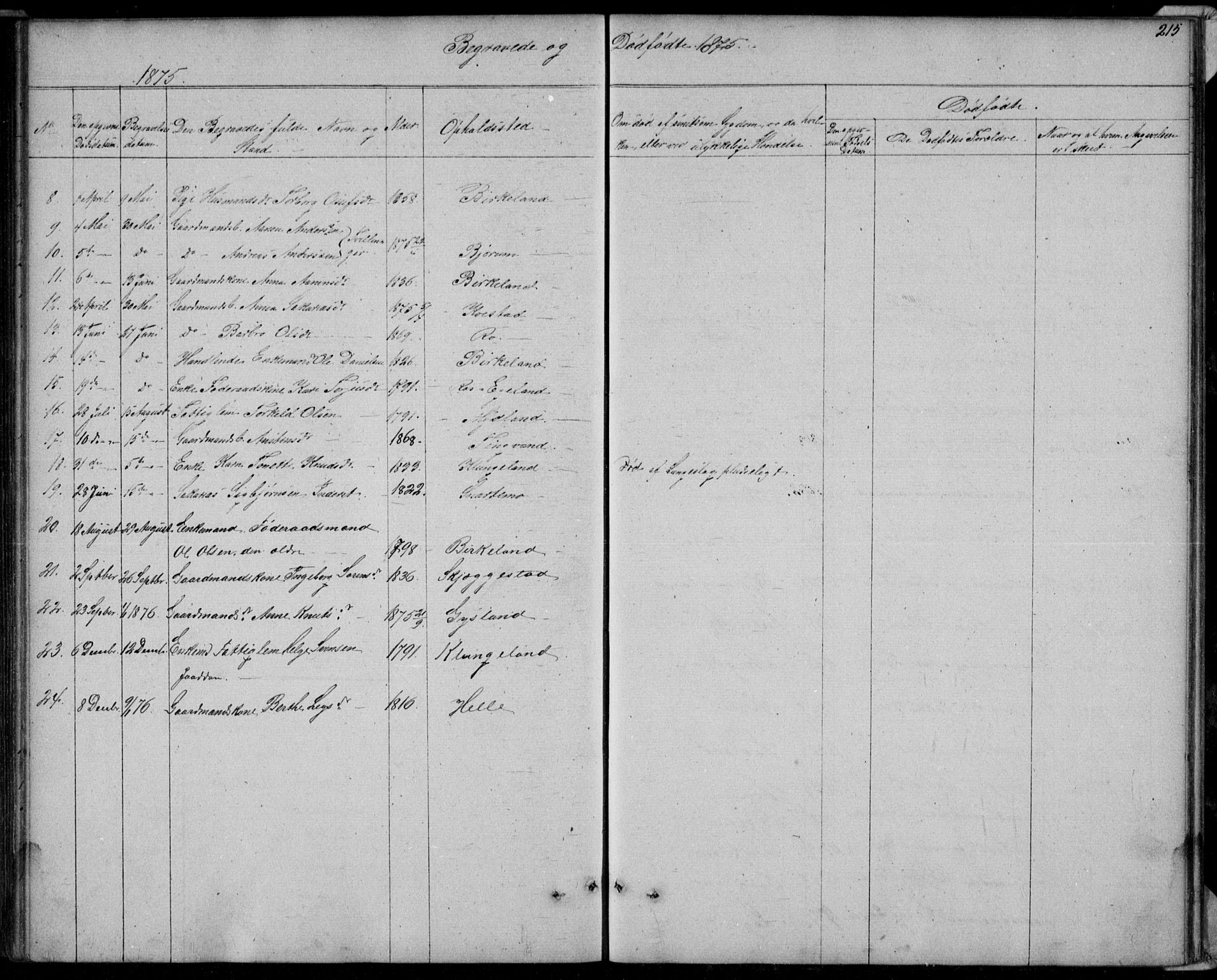 Hægebostad sokneprestkontor, SAK/1111-0024/F/Fb/Fba/L0002: Parish register (copy) no. B 2, 1851-1882, p. 215