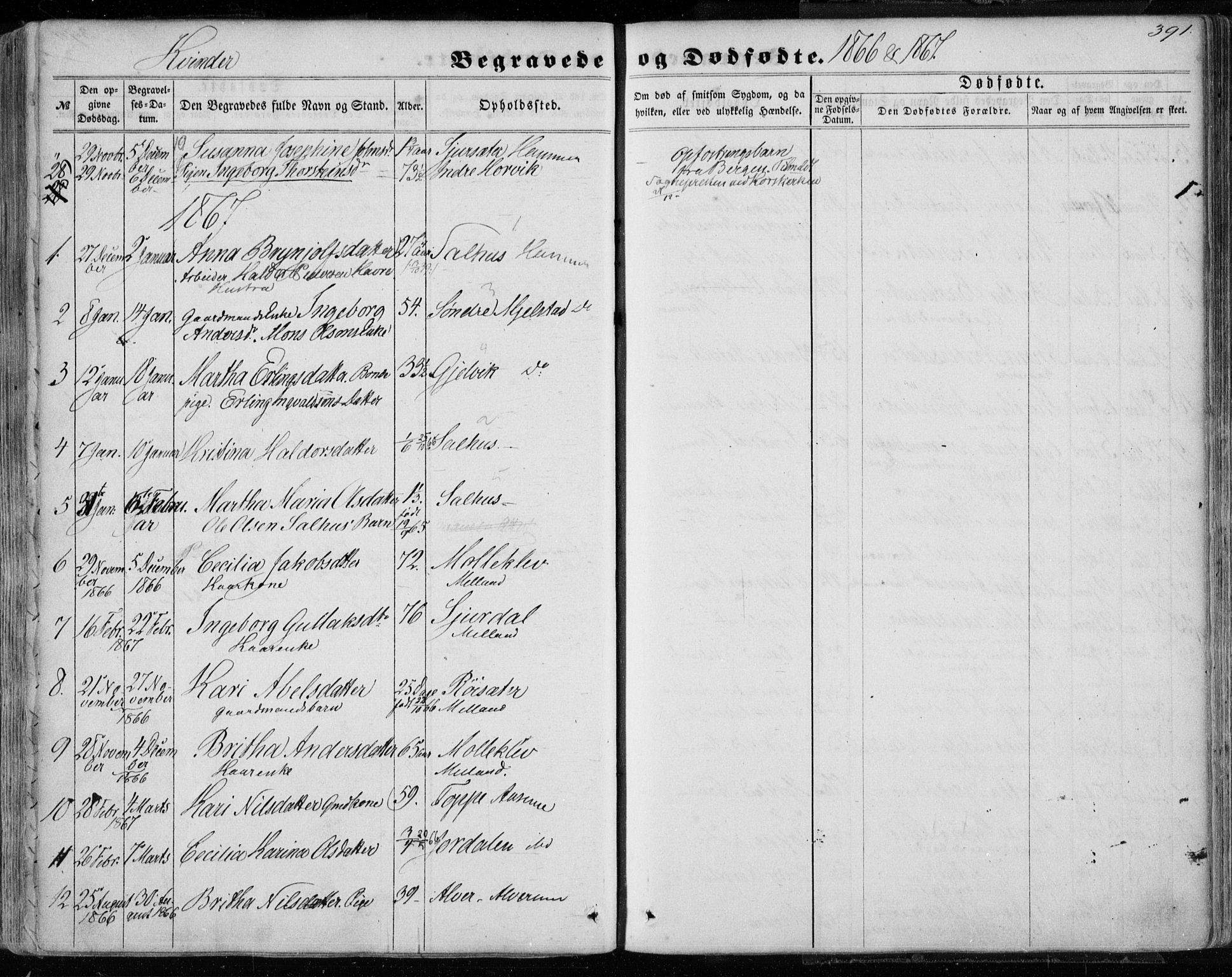 Hamre sokneprestembete, SAB/A-75501/H/Ha/Haa/Haaa/L0014: Parish register (official) no. A 14, 1858-1872, p. 391
