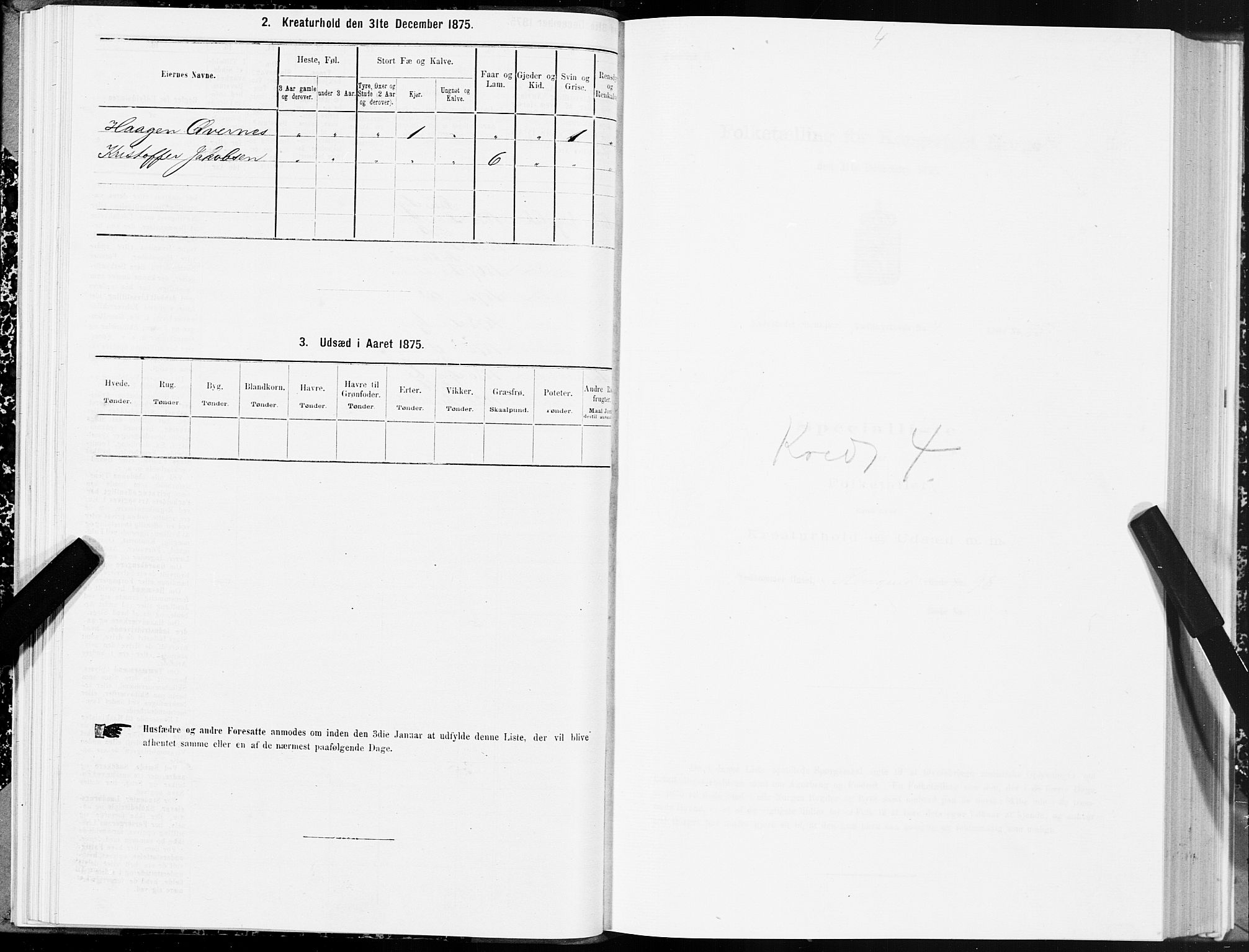 SAT, 1875 census for 1702B Steinkjer/Steinkjer, 1875