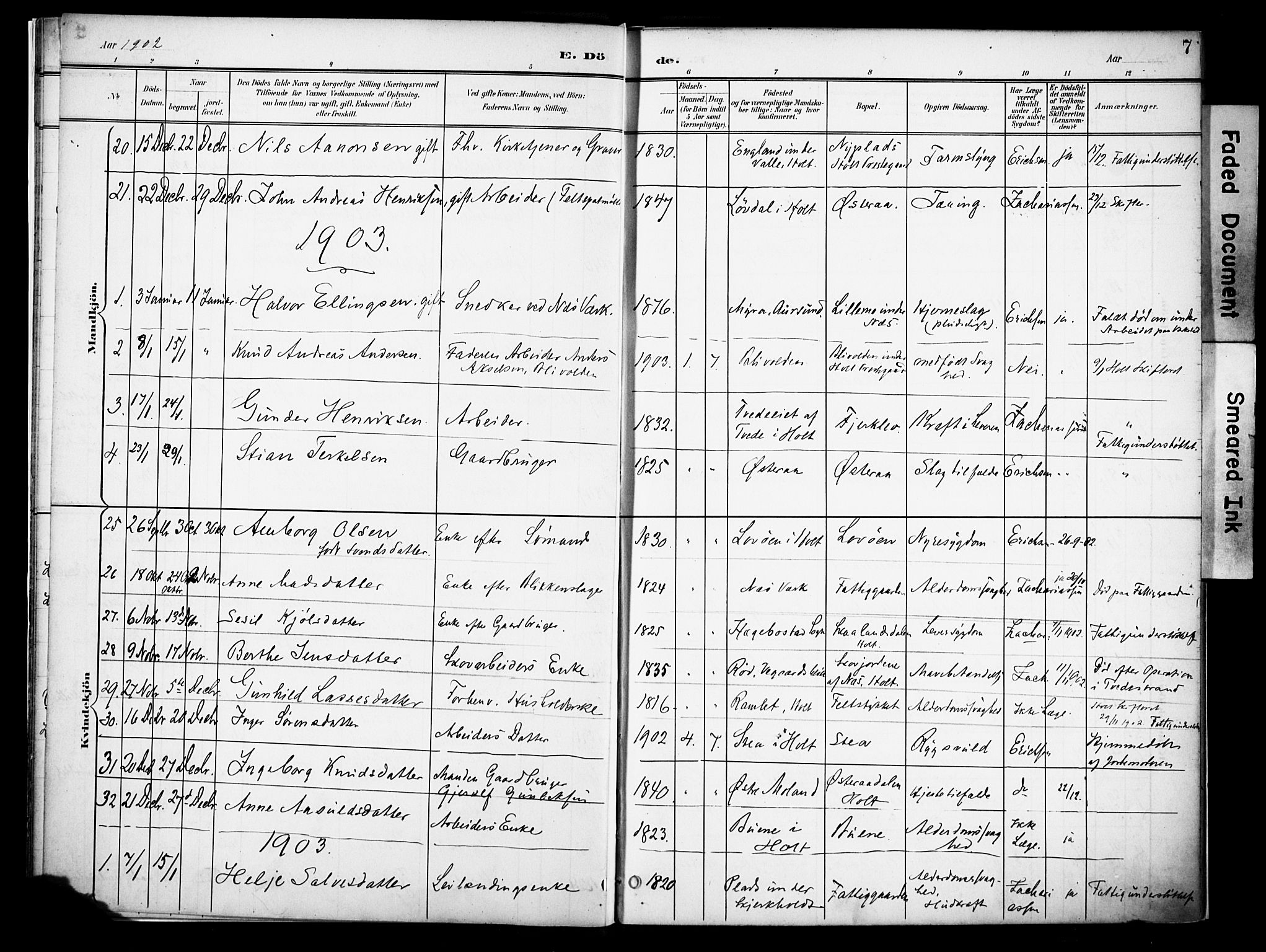 Holt sokneprestkontor, AV/SAK-1111-0021/F/Fa/L0013: Parish register (official) no. A 13, 1900-1912, p. 7