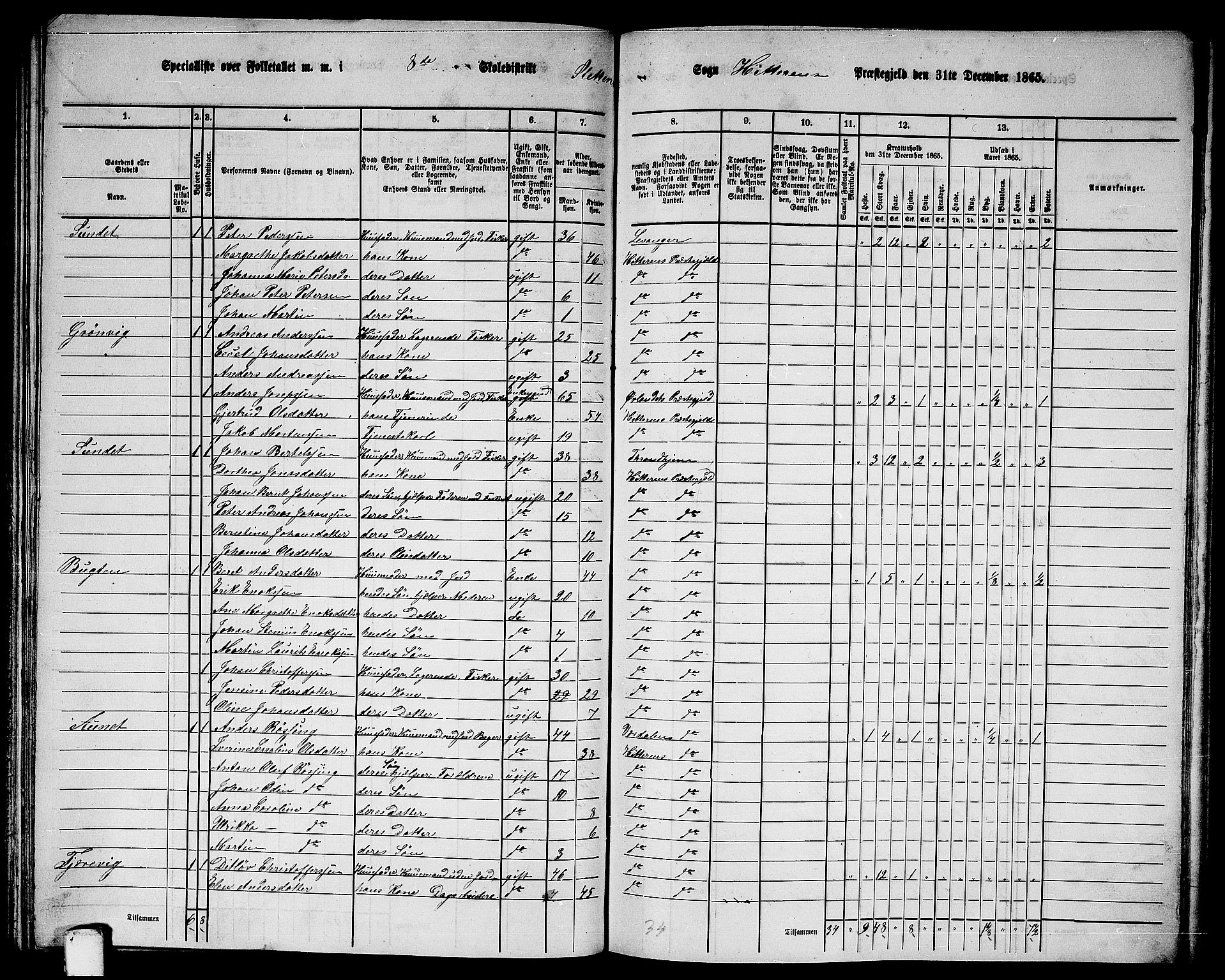 RA, 1865 census for Hitra, 1865, p. 197