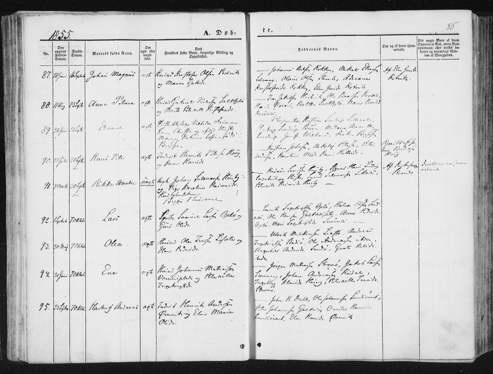 Ministerialprotokoller, klokkerbøker og fødselsregistre - Nord-Trøndelag, AV/SAT-A-1458/780/L0640: Parish register (official) no. 780A05, 1845-1856, p. 85