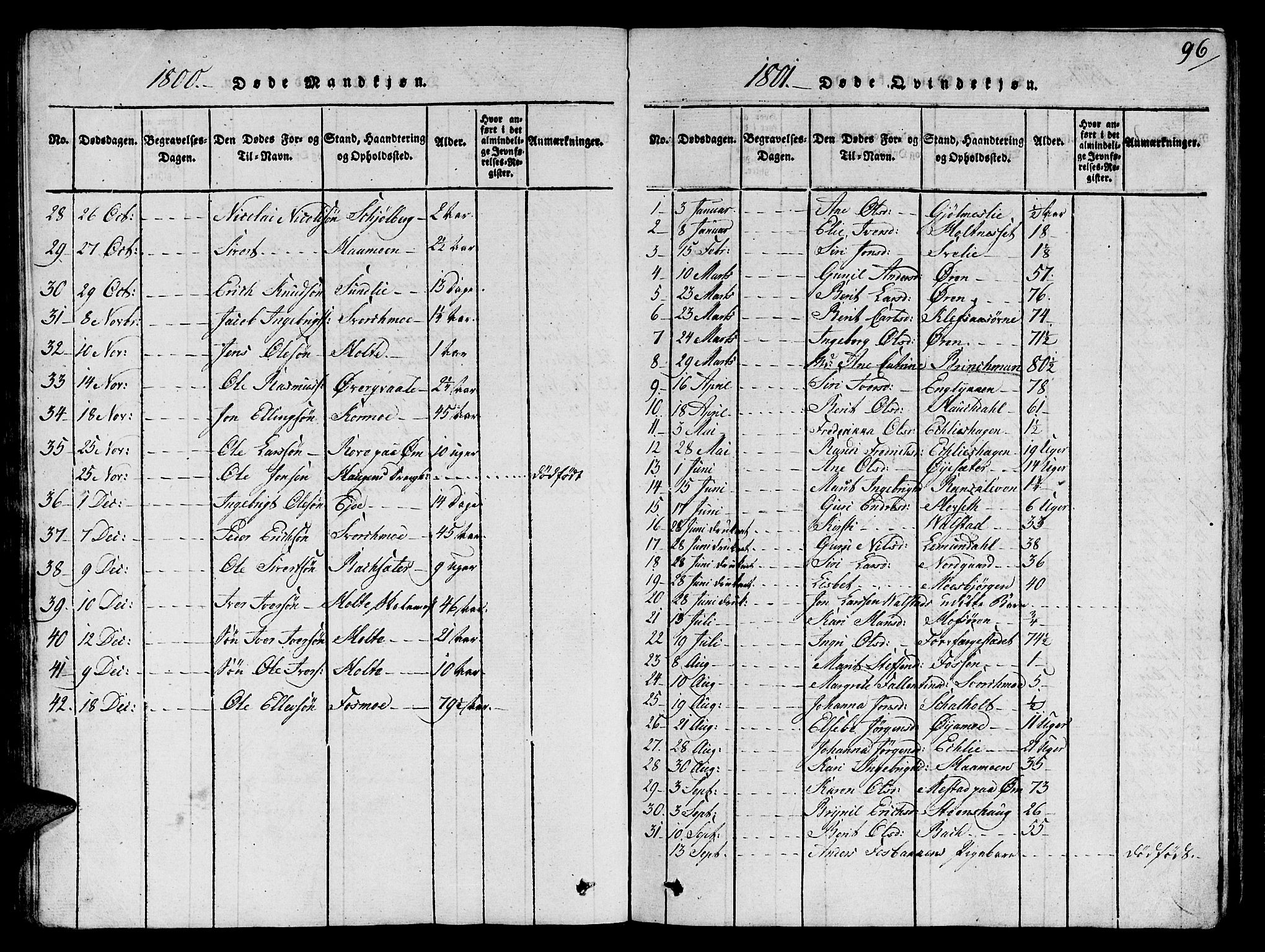 Ministerialprotokoller, klokkerbøker og fødselsregistre - Sør-Trøndelag, SAT/A-1456/668/L0803: Parish register (official) no. 668A03, 1800-1826, p. 96