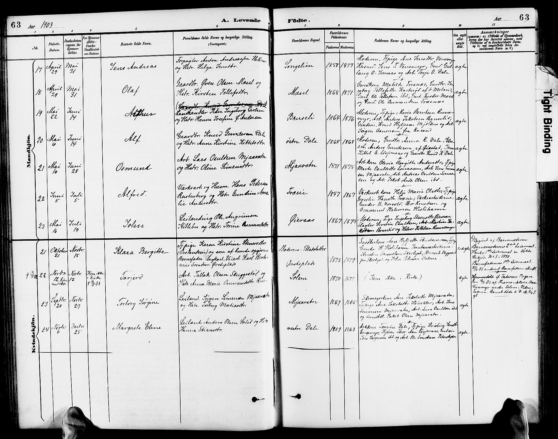 Froland sokneprestkontor, AV/SAK-1111-0013/F/Fb/L0010: Parish register (copy) no. B 10, 1893-1920, p. 63