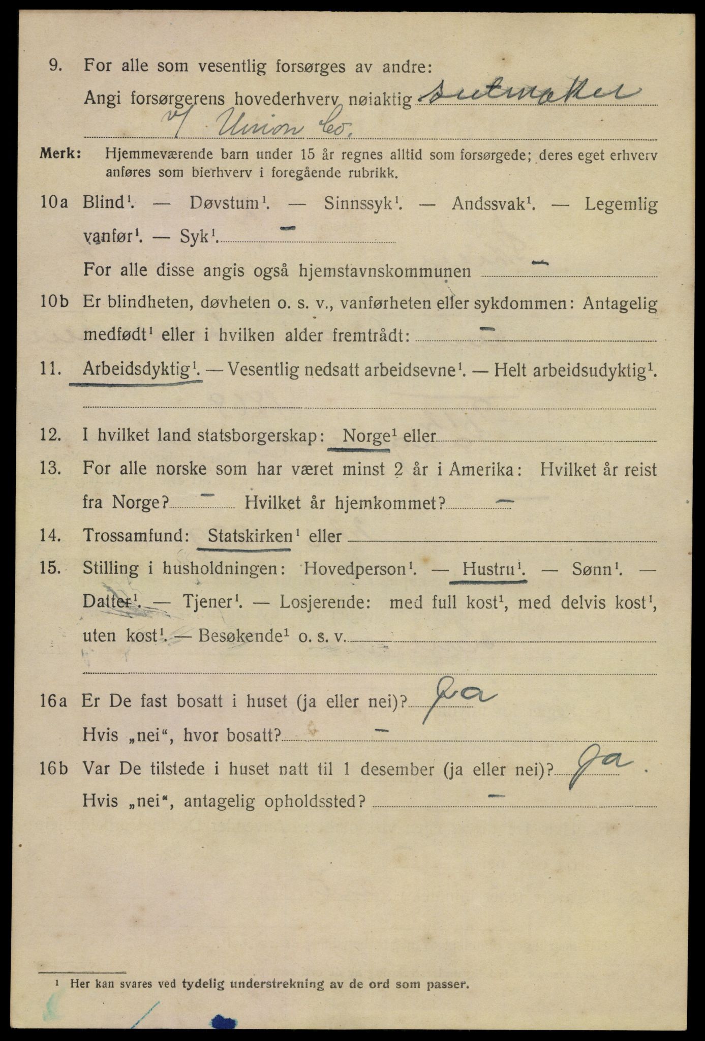 SAKO, 1920 census for Skien, 1920, p. 16945