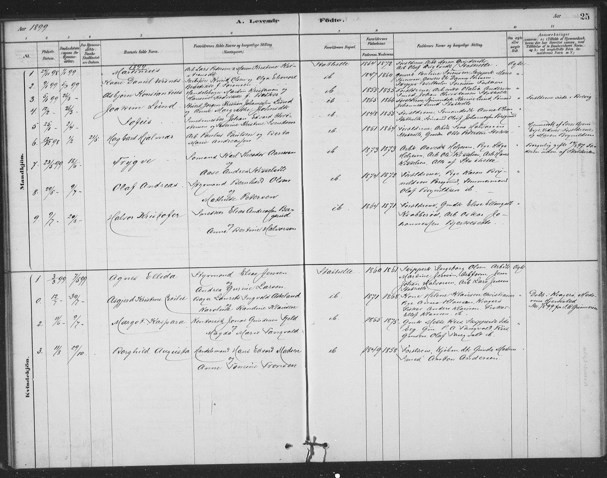 Bamble kirkebøker, SAKO/A-253/F/Fb/L0001: Parish register (official) no. II 1, 1878-1899, p. 25