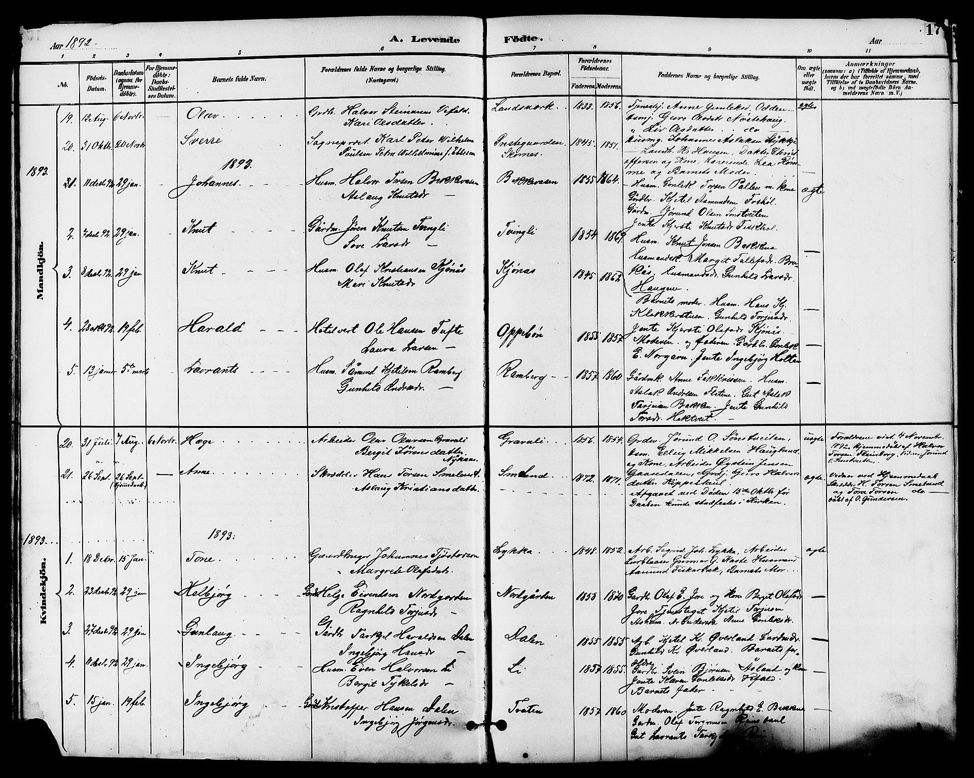 Seljord kirkebøker, SAKO/A-20/G/Ga/L0005: Parish register (copy) no. I 5, 1887-1914, p. 17