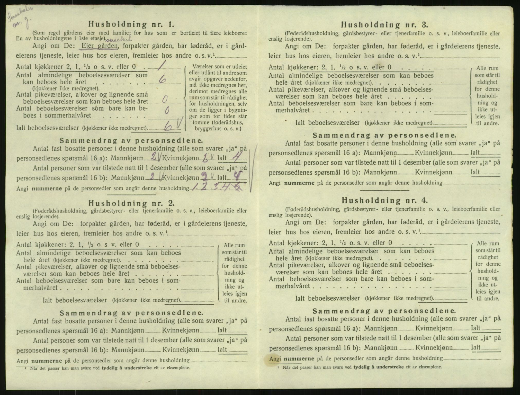 SAK, 1920 census for Hornnes, 1920, p. 58
