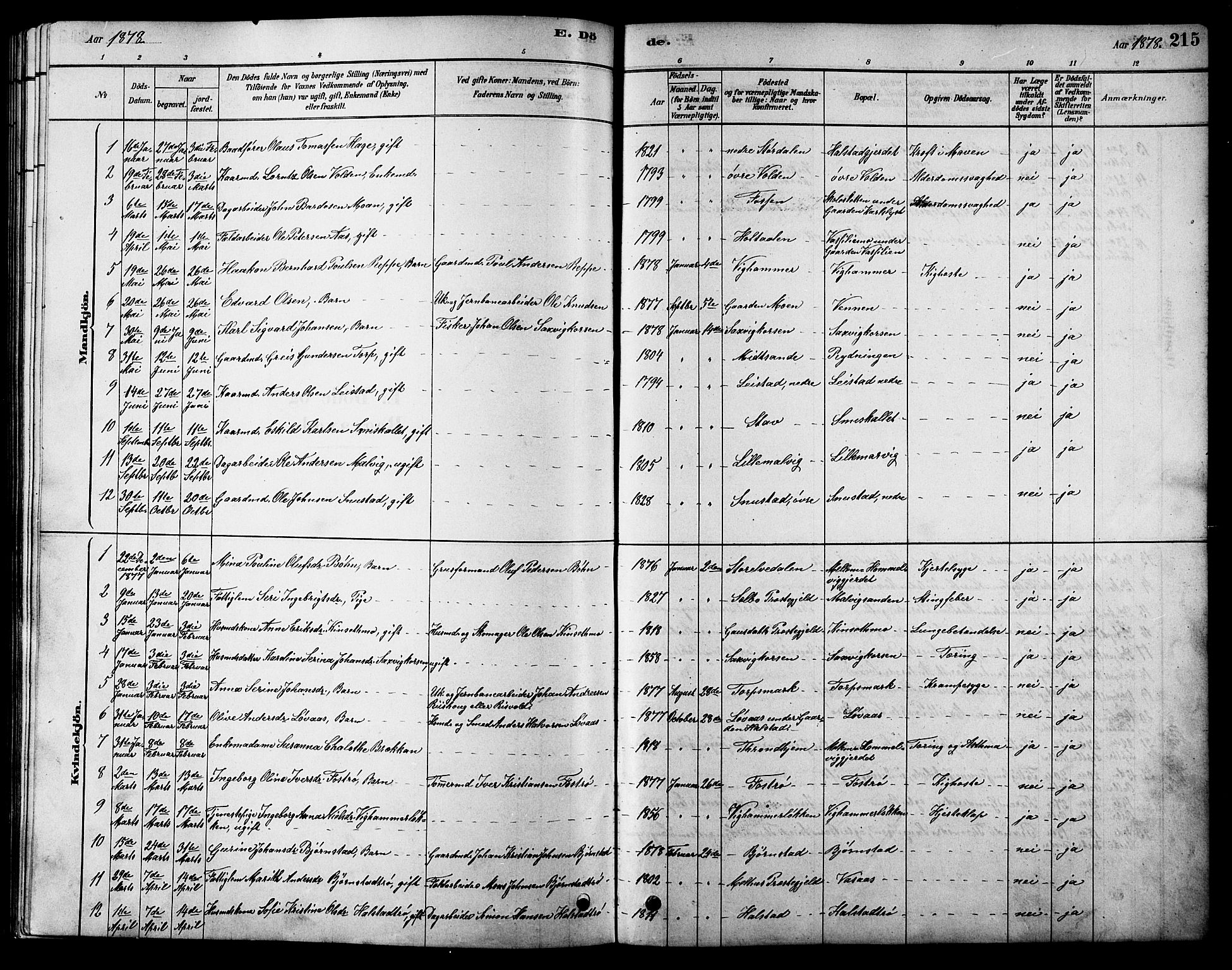 Ministerialprotokoller, klokkerbøker og fødselsregistre - Sør-Trøndelag, SAT/A-1456/616/L0423: Parish register (copy) no. 616C06, 1878-1903, p. 215