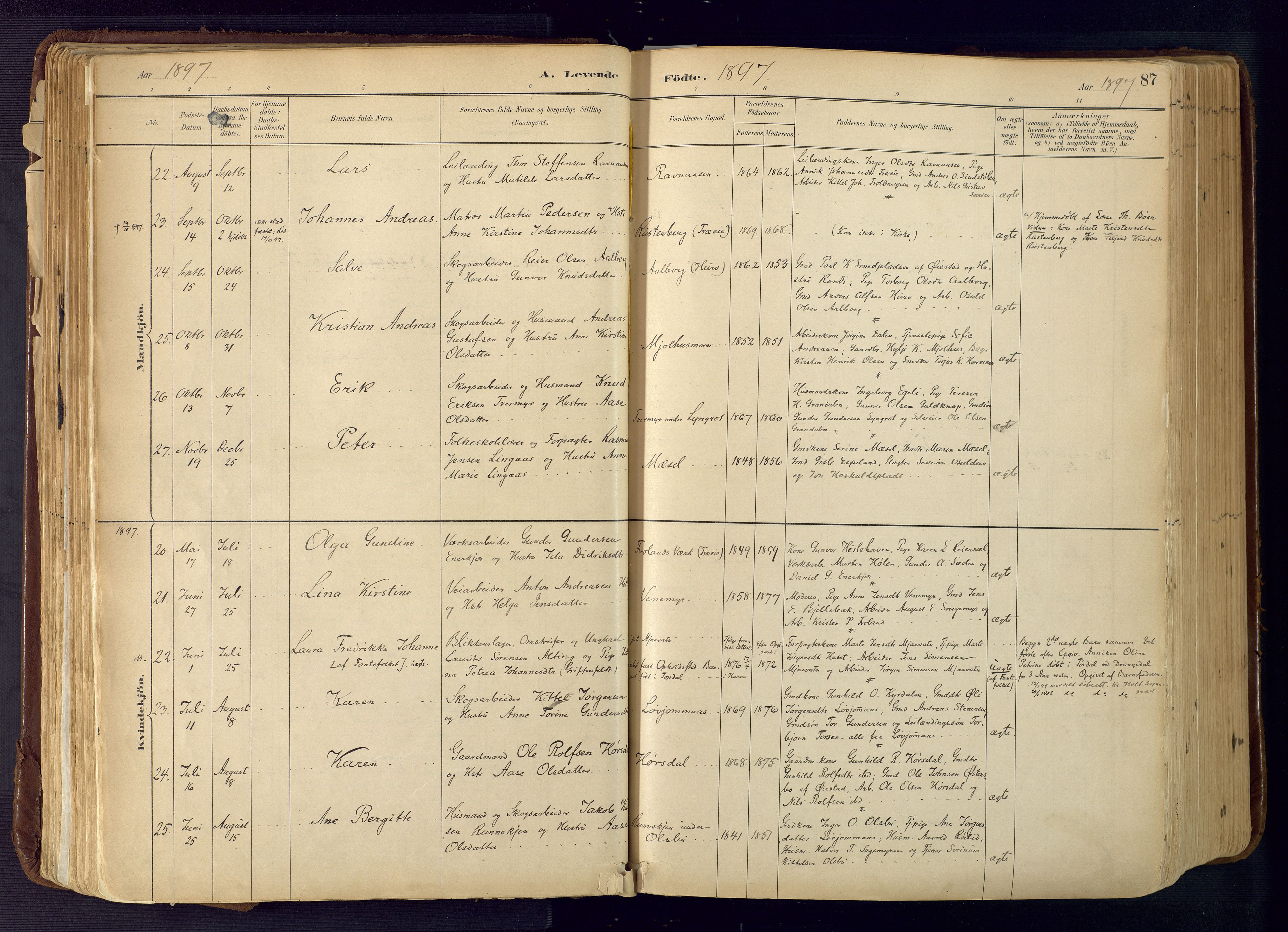 Froland sokneprestkontor, AV/SAK-1111-0013/F/Fa/L0005: Parish register (official) no. A 5, 1882-1921, p. 87