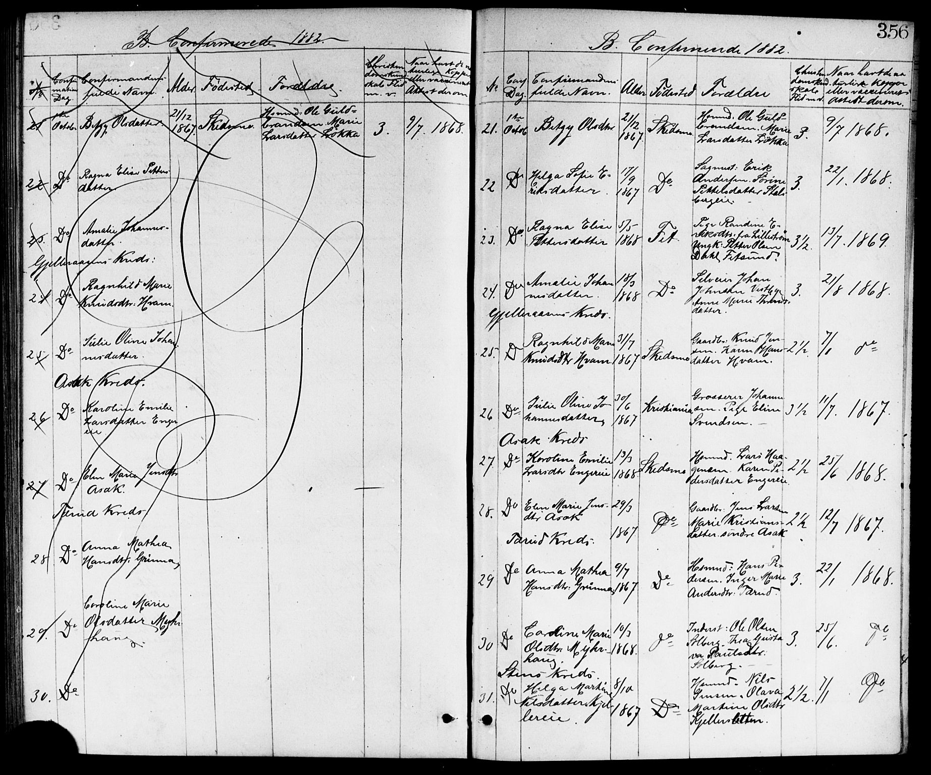 Skedsmo prestekontor Kirkebøker, AV/SAO-A-10033a/G/Ga/L0003: Parish register (copy) no. I 3, 1873-1882, p. 356