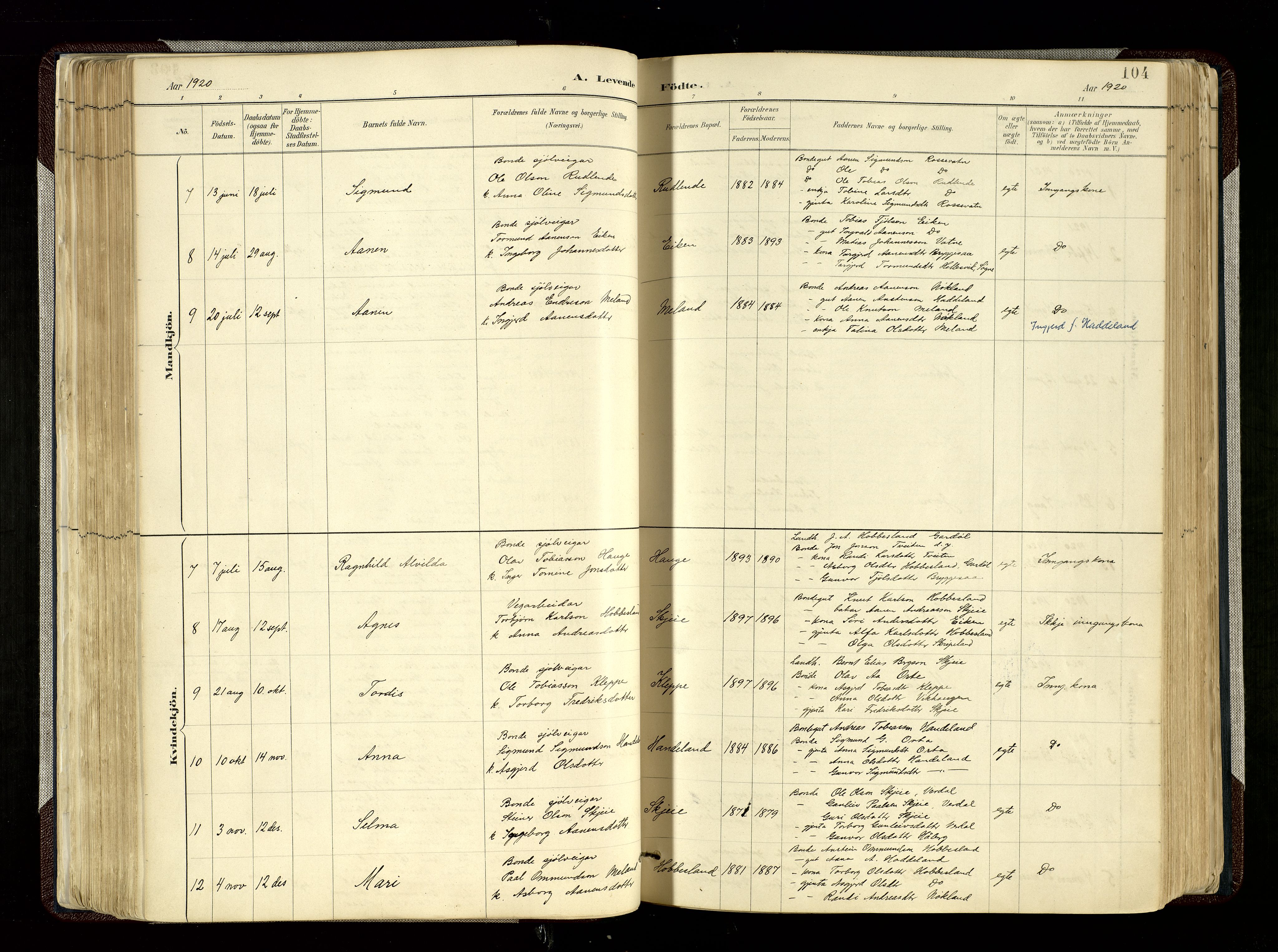 Hægebostad sokneprestkontor, AV/SAK-1111-0024/F/Fa/Fab/L0004: Parish register (official) no. A 4, 1887-1929, p. 104