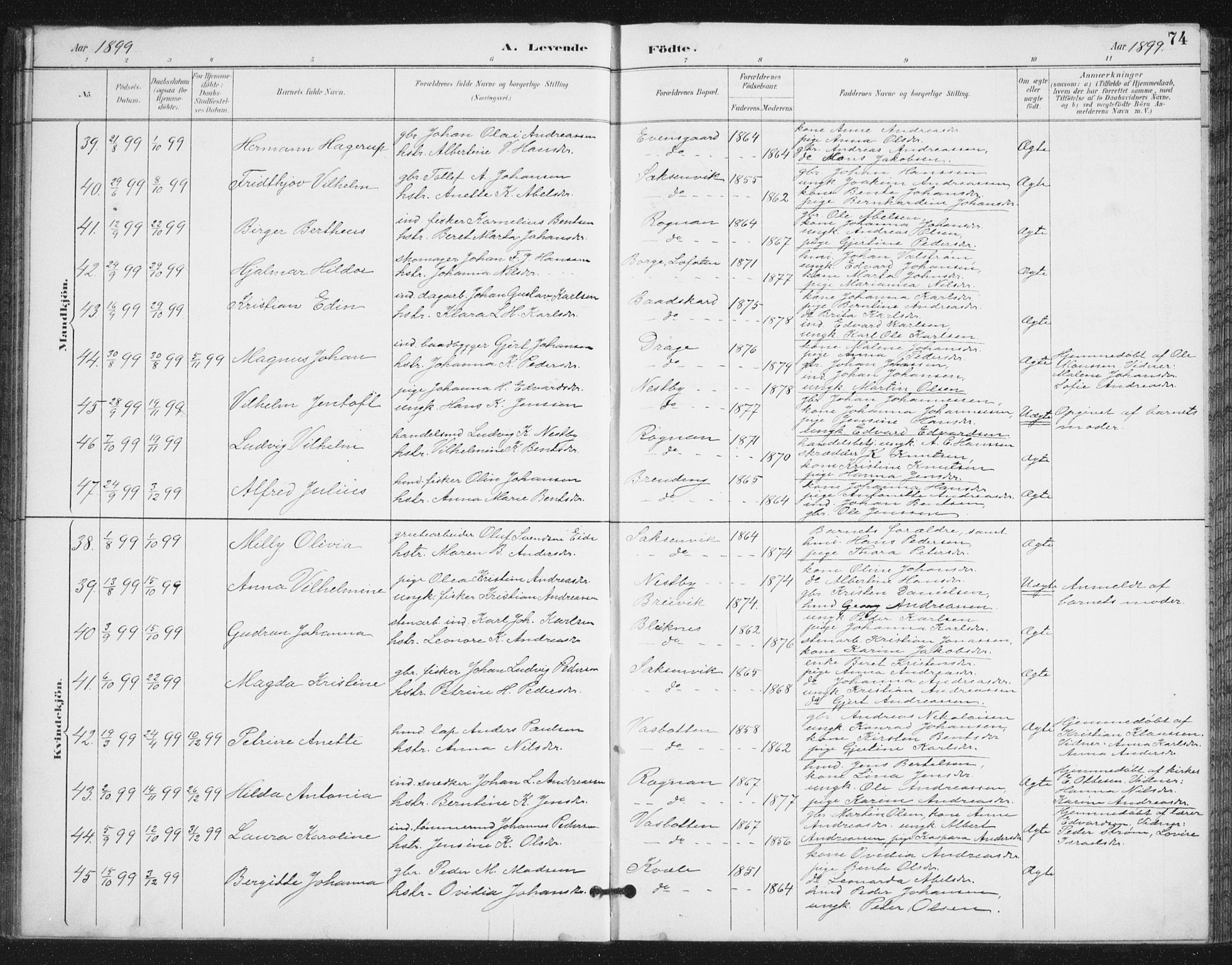 Ministerialprotokoller, klokkerbøker og fødselsregistre - Nordland, AV/SAT-A-1459/847/L0682: Parish register (copy) no. 847C10, 1889-1907, p. 74