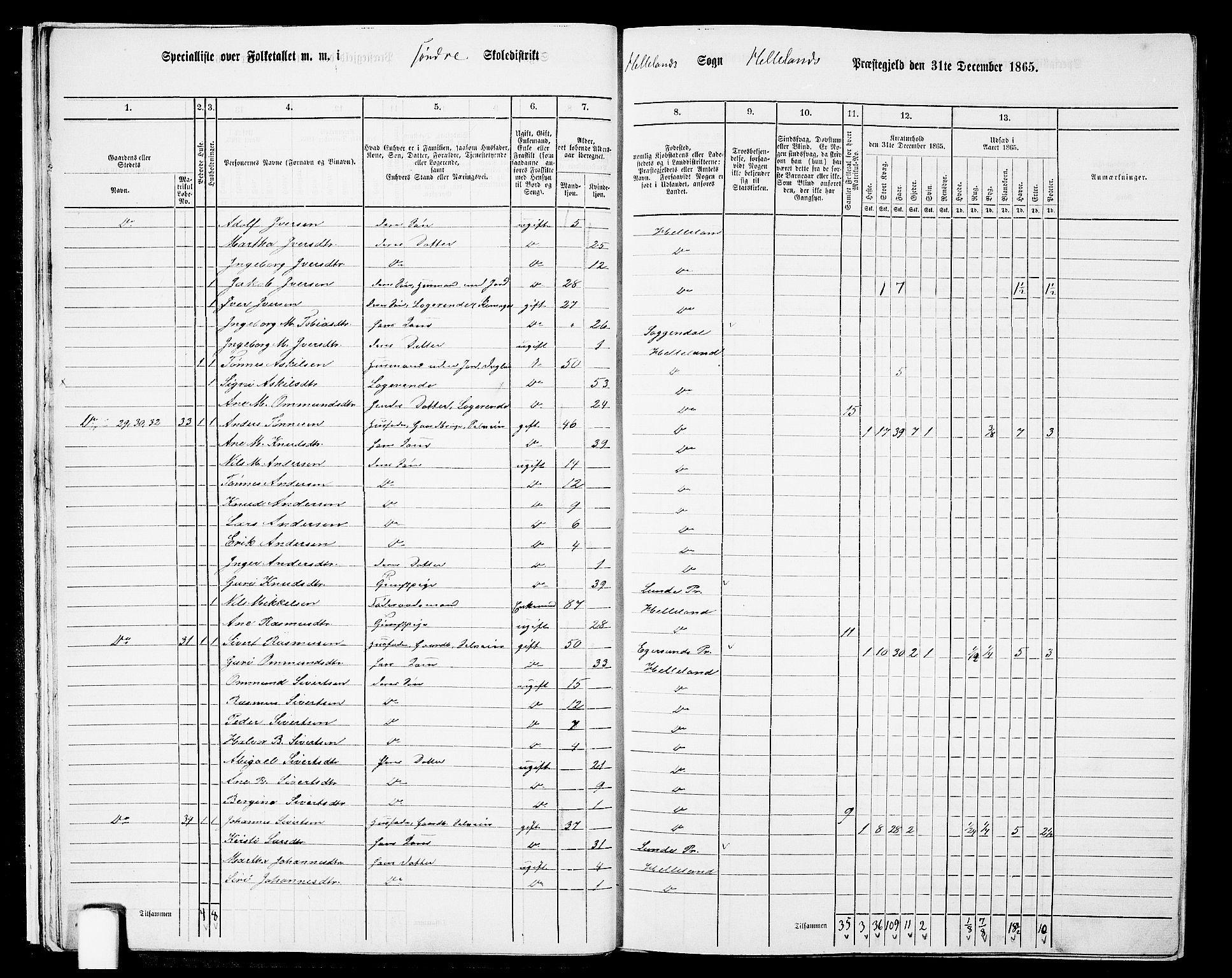 RA, 1865 census for Helleland, 1865, p. 17