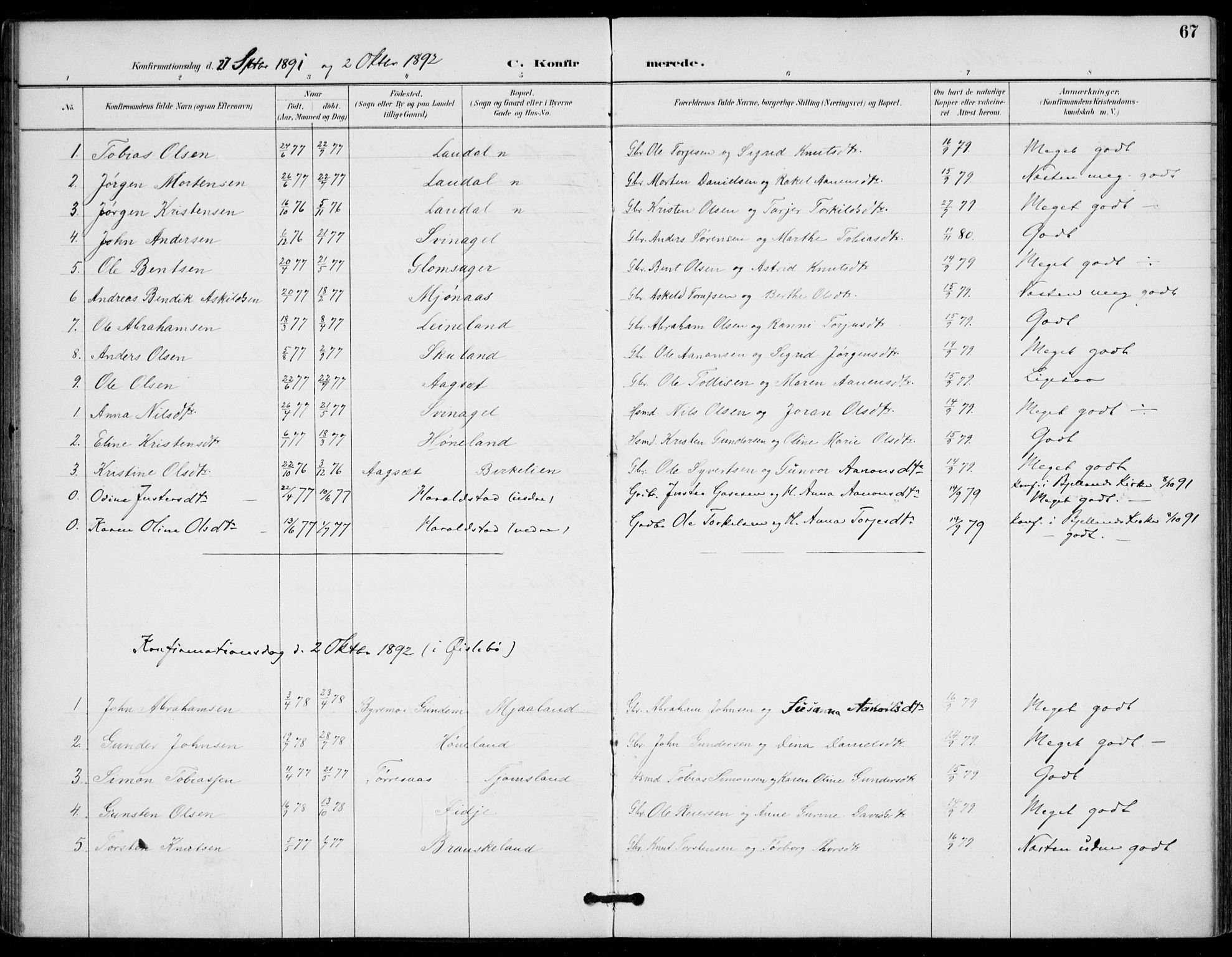 Holum sokneprestkontor, AV/SAK-1111-0022/F/Fa/Fab/L0007: Parish register (official) no. A 7, 1887-1912, p. 67