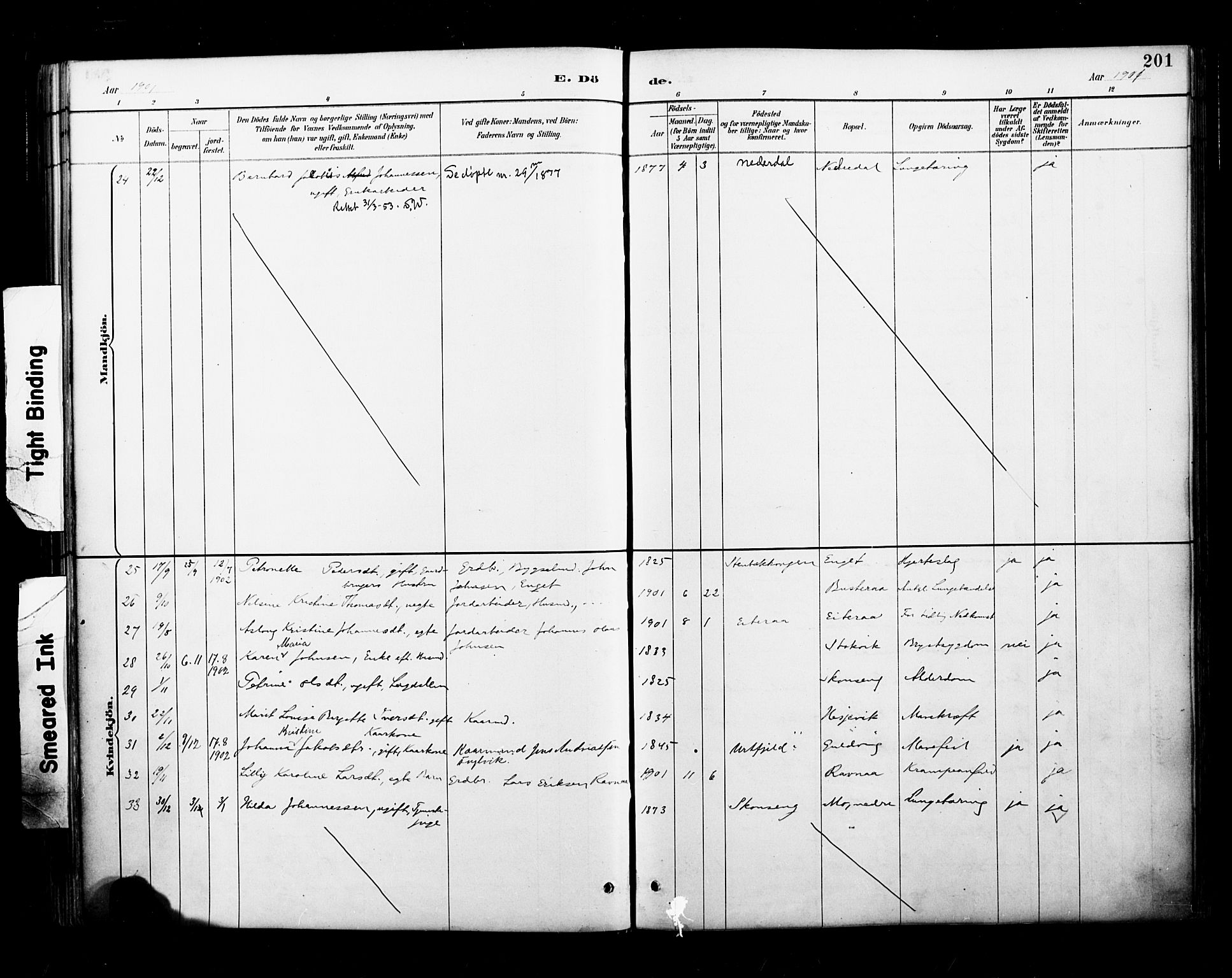 Ministerialprotokoller, klokkerbøker og fødselsregistre - Nordland, AV/SAT-A-1459/827/L0401: Parish register (official) no. 827A13, 1887-1905, p. 201