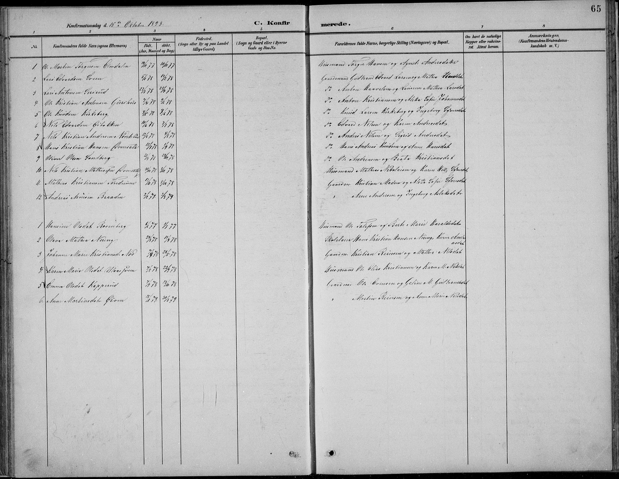 Nordre Land prestekontor, SAH/PREST-124/H/Ha/Hab/L0013: Parish register (copy) no. 13, 1891-1904, p. 65
