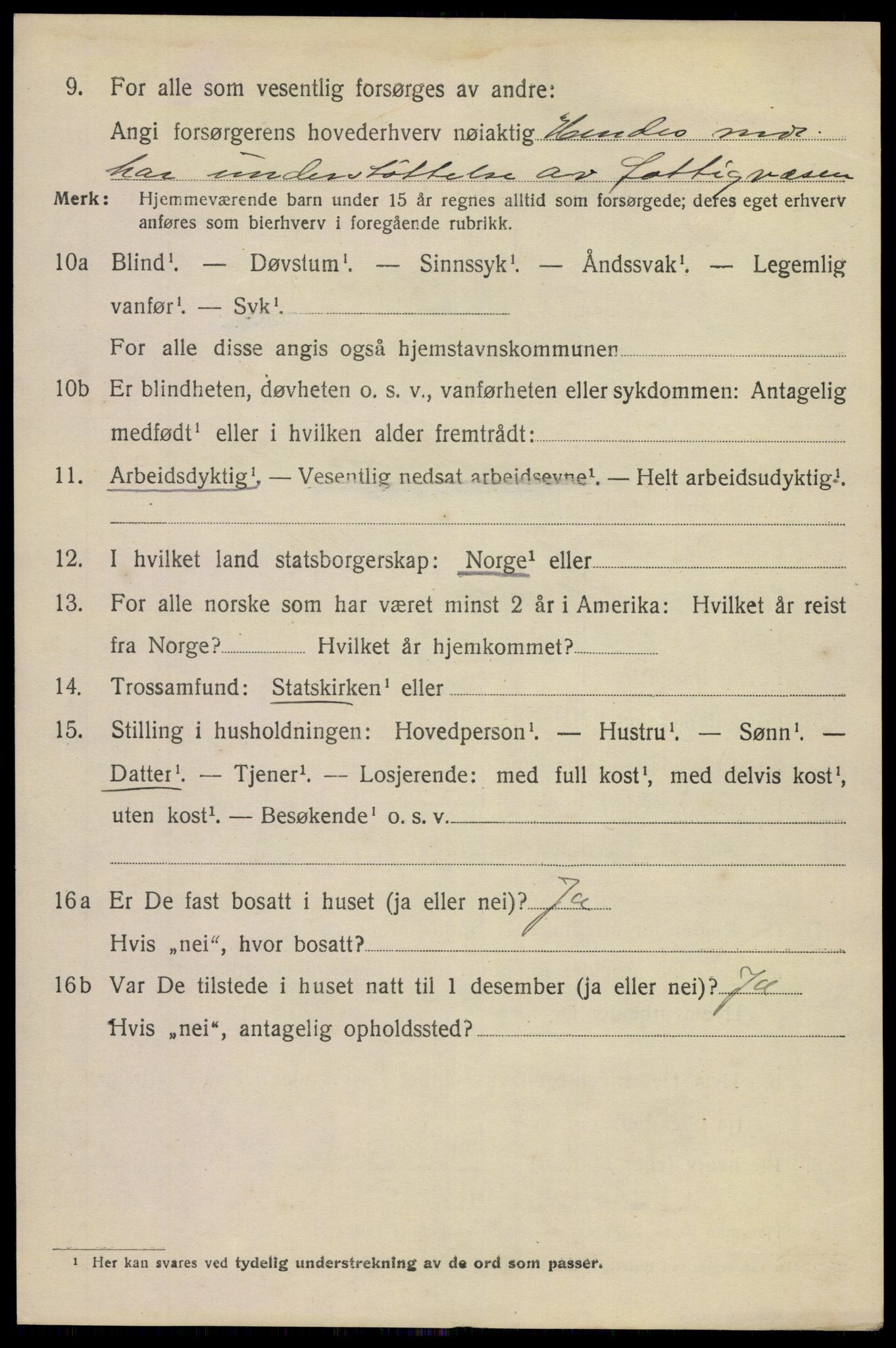 SAKO, 1920 census for Skien, 1920, p. 20023