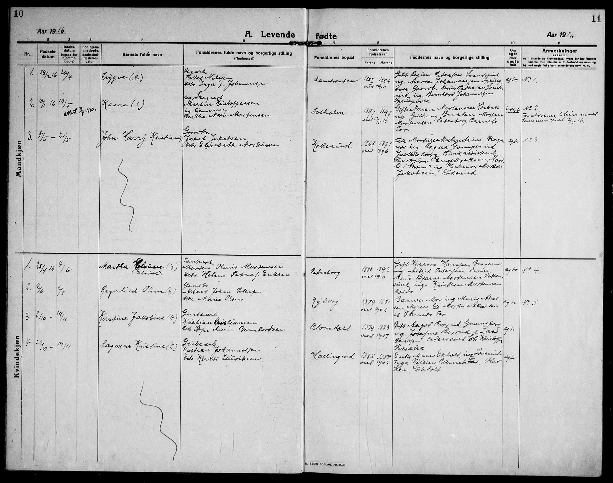 Skoger kirkebøker, AV/SAKO-A-59/F/Fb/L0002: Parish register (official) no. II 2, 1914-1941, p. 10-11