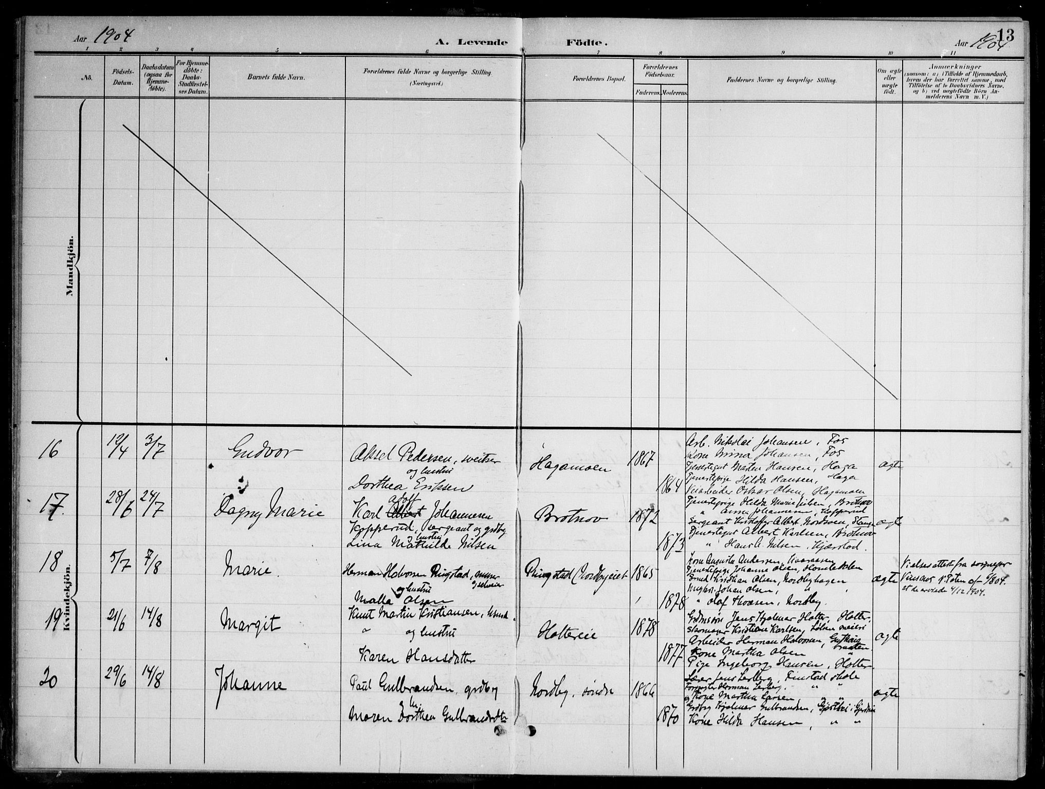 Nannestad prestekontor Kirkebøker, AV/SAO-A-10414a/G/Gb/L0001: Parish register (copy) no. II 1, 1901-1917, p. 13