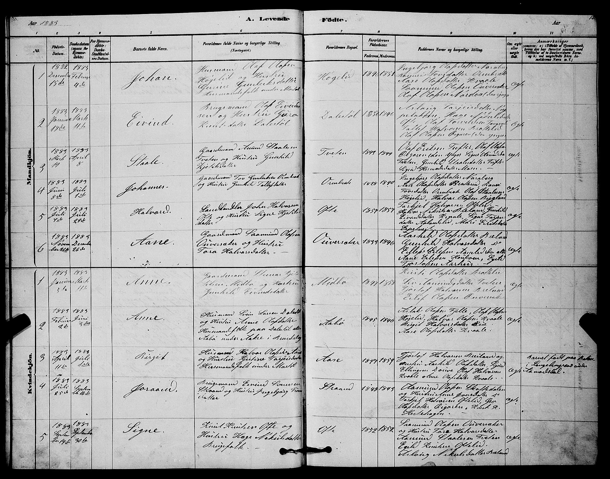 Lårdal kirkebøker, SAKO/A-284/G/Gc/L0003: Parish register (copy) no. III 3, 1878-1890, p. 12