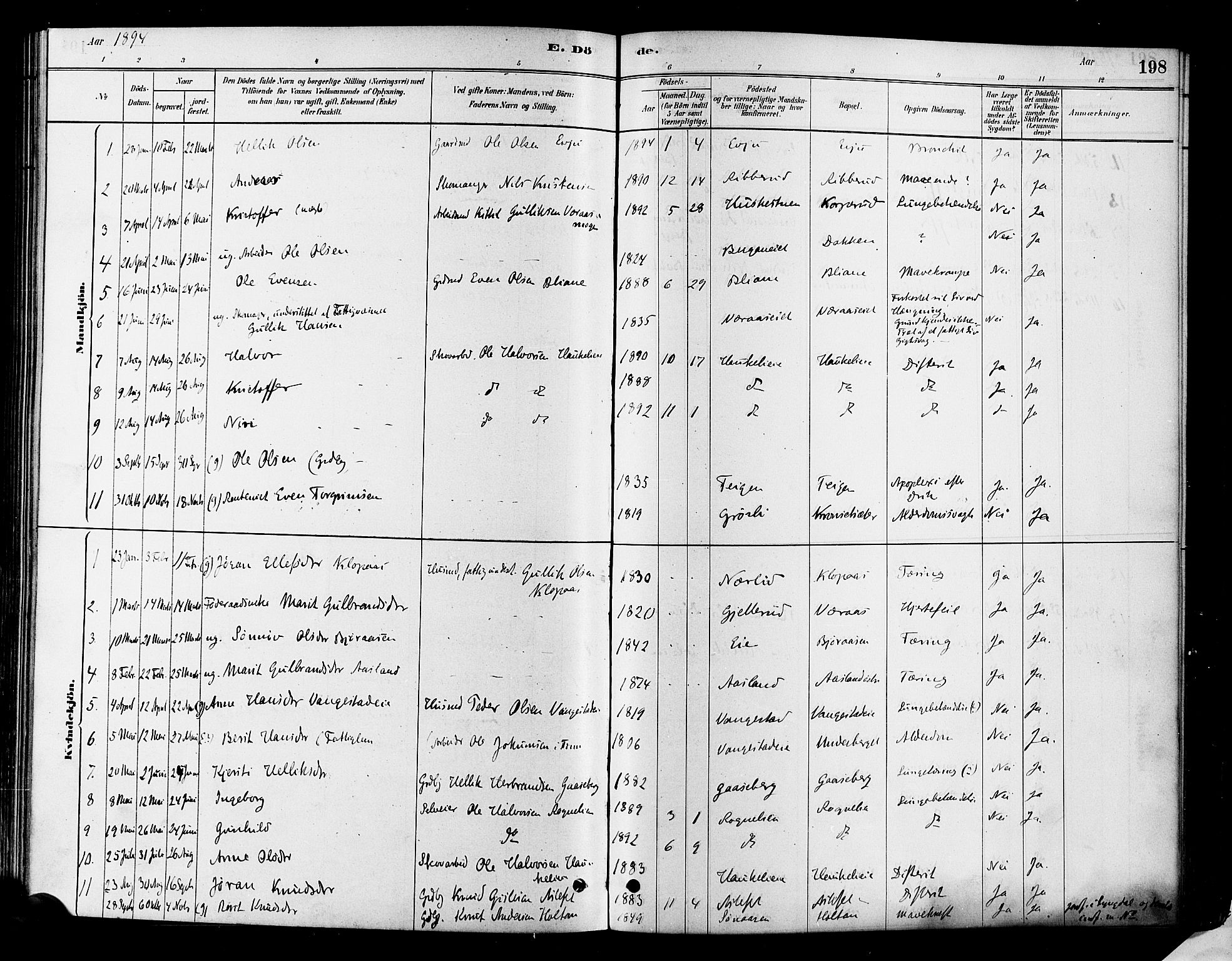Flesberg kirkebøker, SAKO/A-18/F/Fa/L0008: Parish register (official) no. I 8, 1879-1899, p. 198