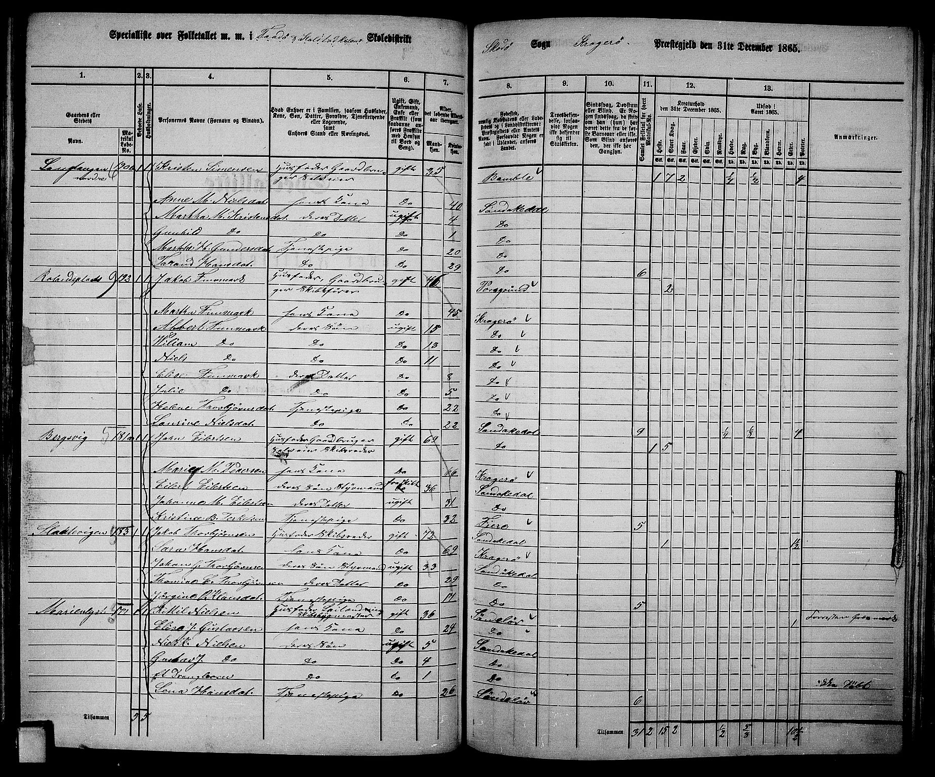 RA, 1865 census for Kragerø/Sannidal og Skåtøy, 1865, p. 128