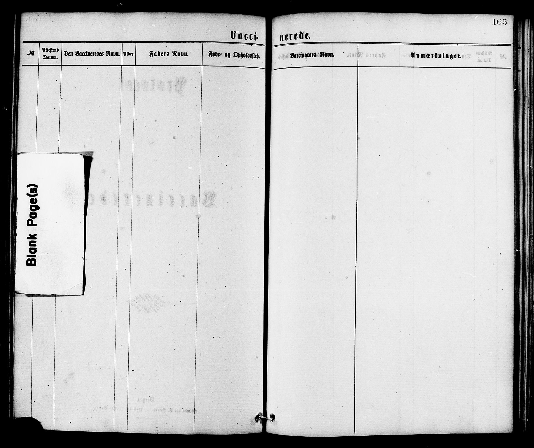 Ministerialprotokoller, klokkerbøker og fødselsregistre - Nordland, AV/SAT-A-1459/826/L0378: Parish register (official) no. 826A01, 1865-1878, p. 165