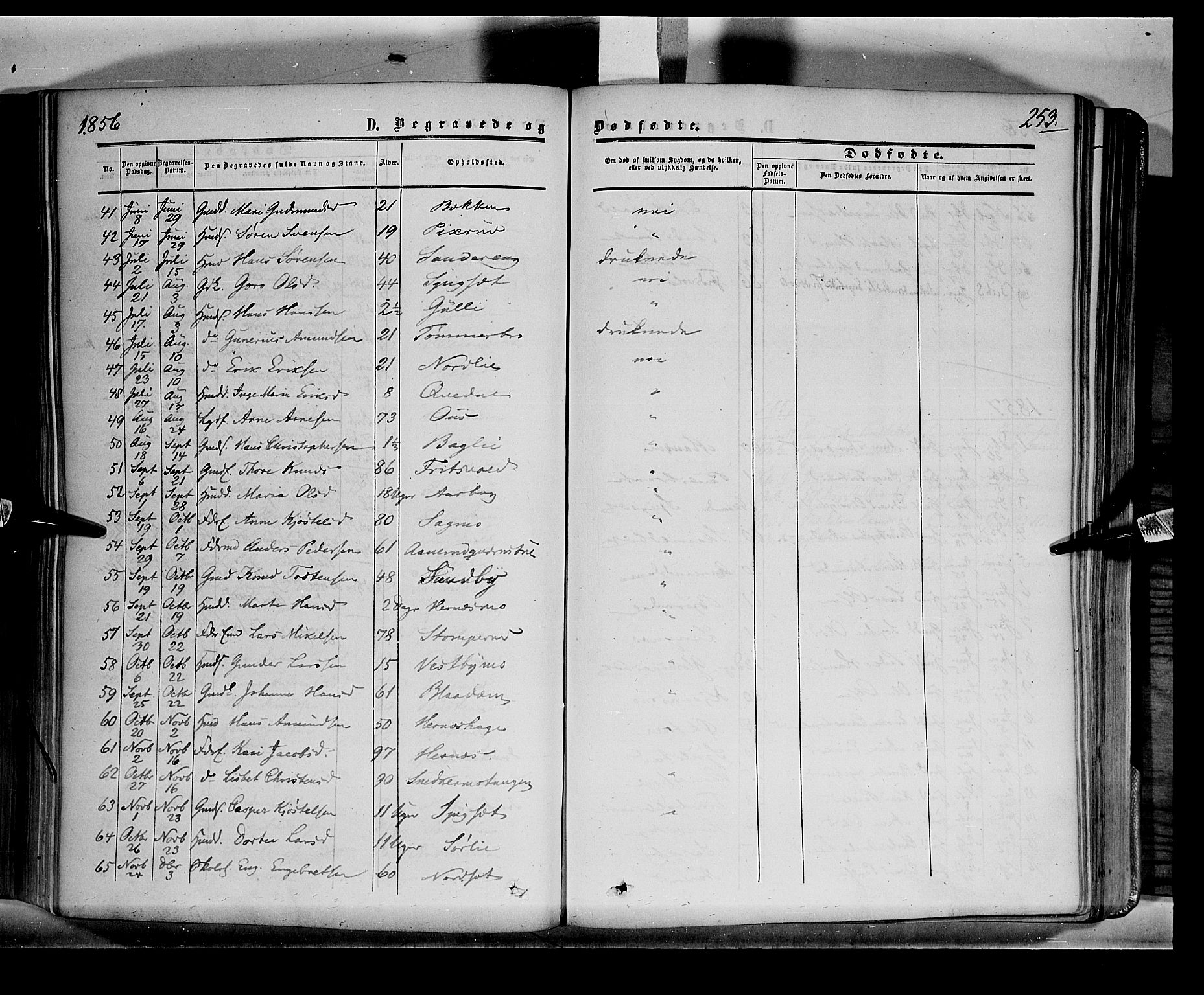 Sør-Odal prestekontor, AV/SAH-PREST-030/H/Ha/Haa/L0001: Parish register (official) no. 1, 1849-1859, p. 253