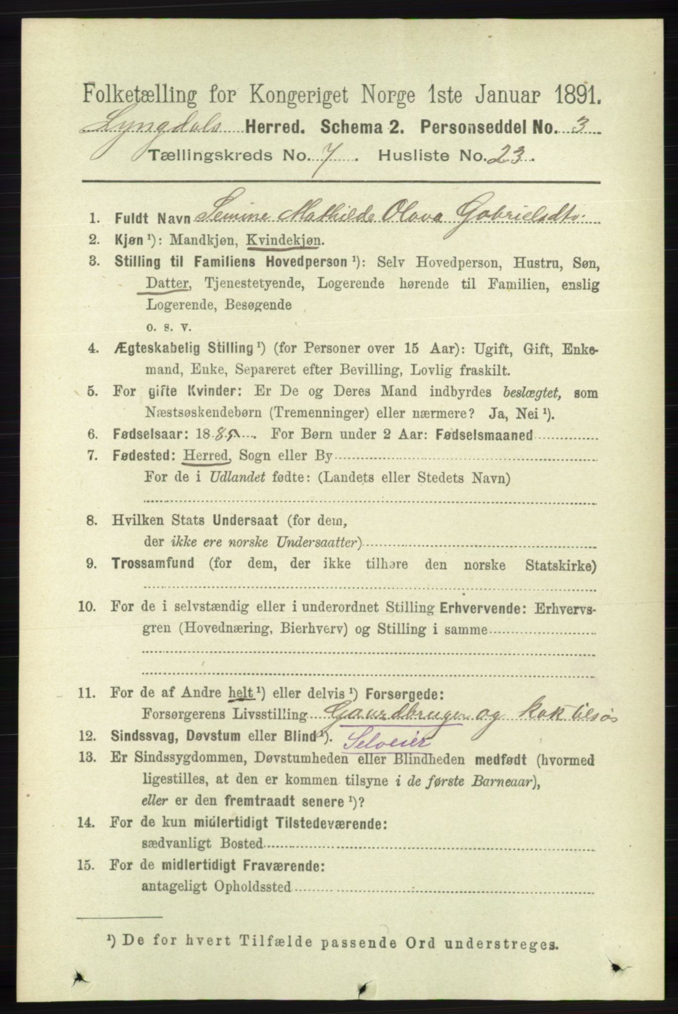 RA, 1891 census for 1032 Lyngdal, 1891, p. 3043