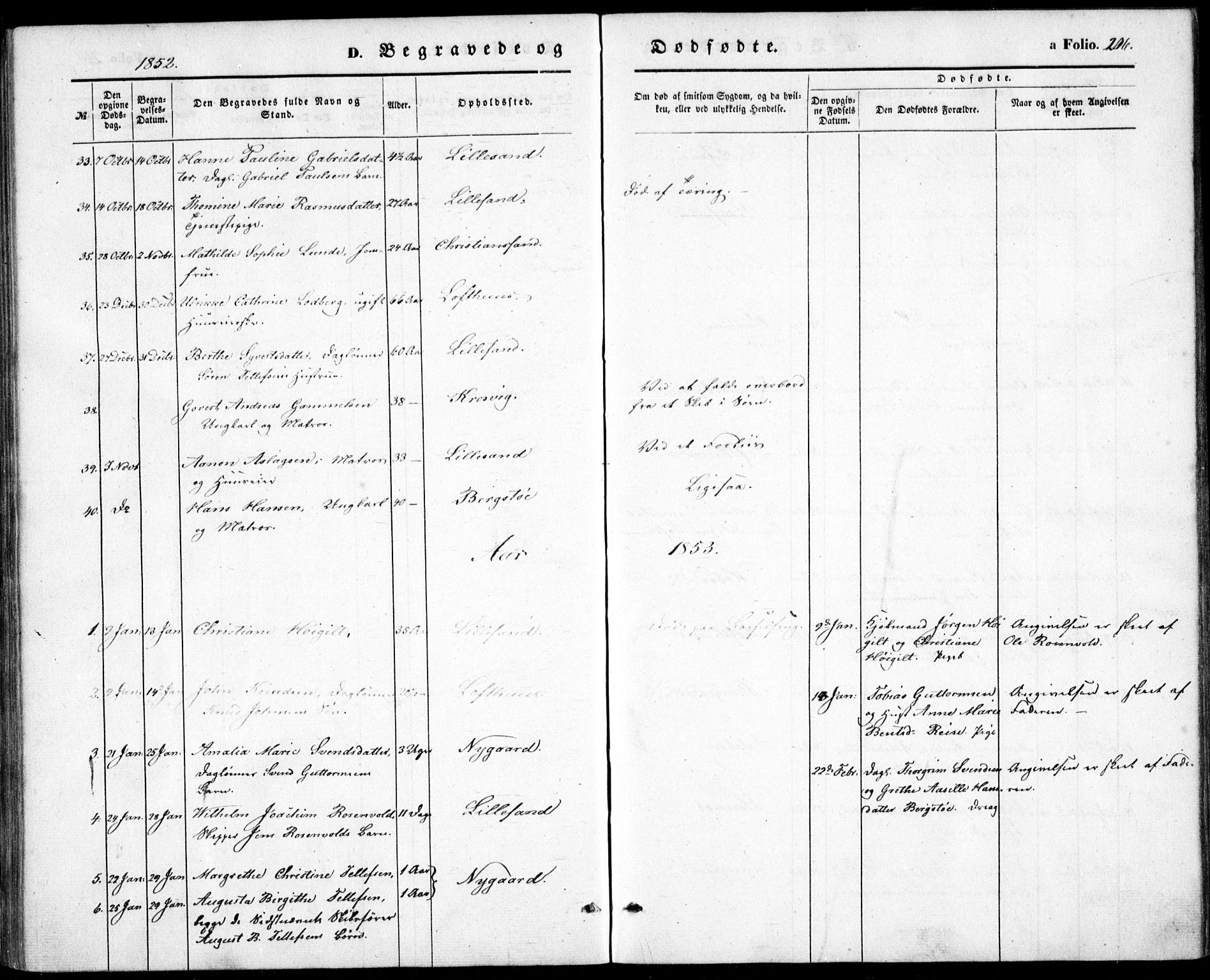 Vestre Moland sokneprestkontor, SAK/1111-0046/F/Fb/Fbb/L0003: Parish register (copy) no. B 3, 1851-1861, p. 206