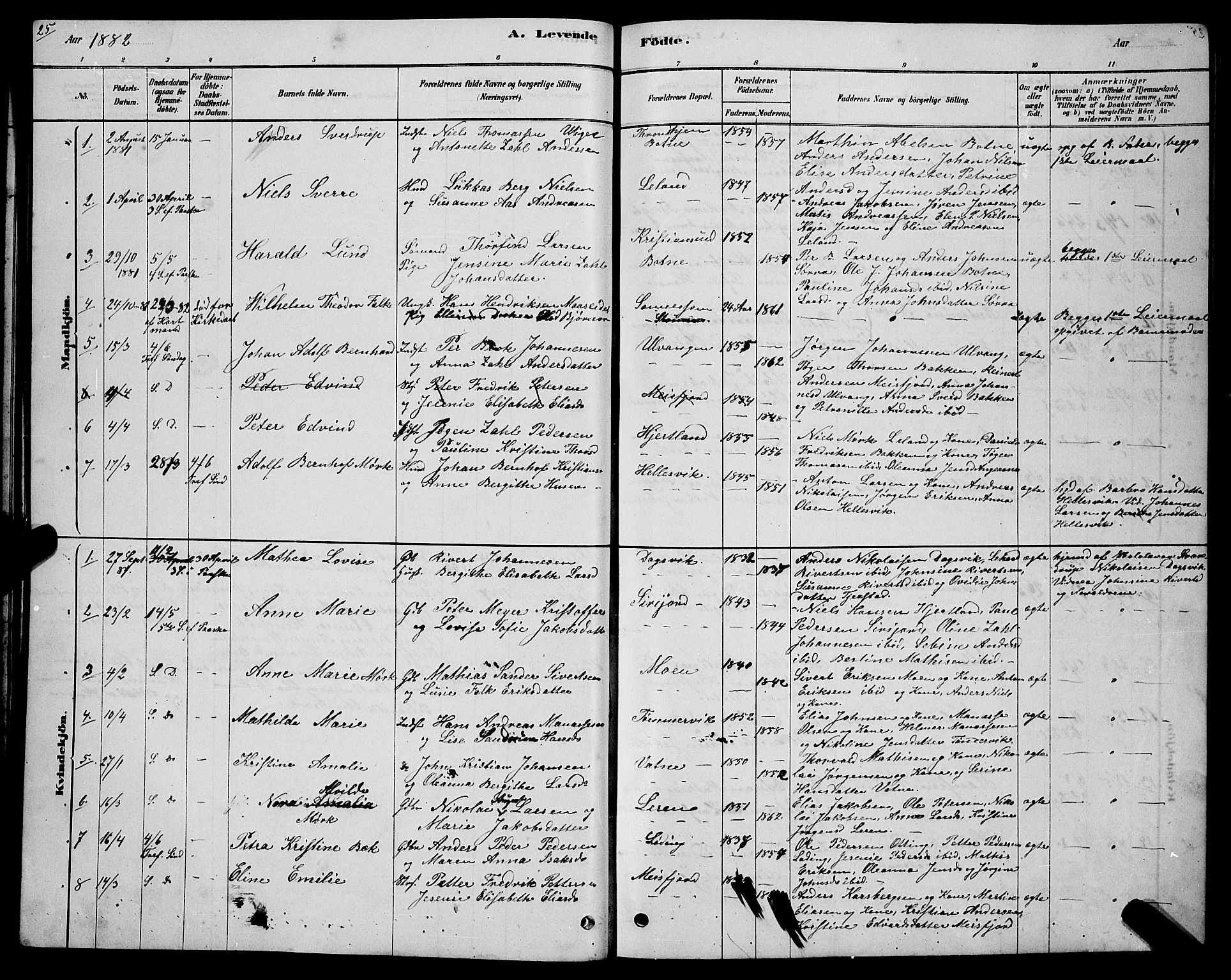 Ministerialprotokoller, klokkerbøker og fødselsregistre - Nordland, AV/SAT-A-1459/831/L0477: Parish register (copy) no. 831C04, 1878-1897, p. 25