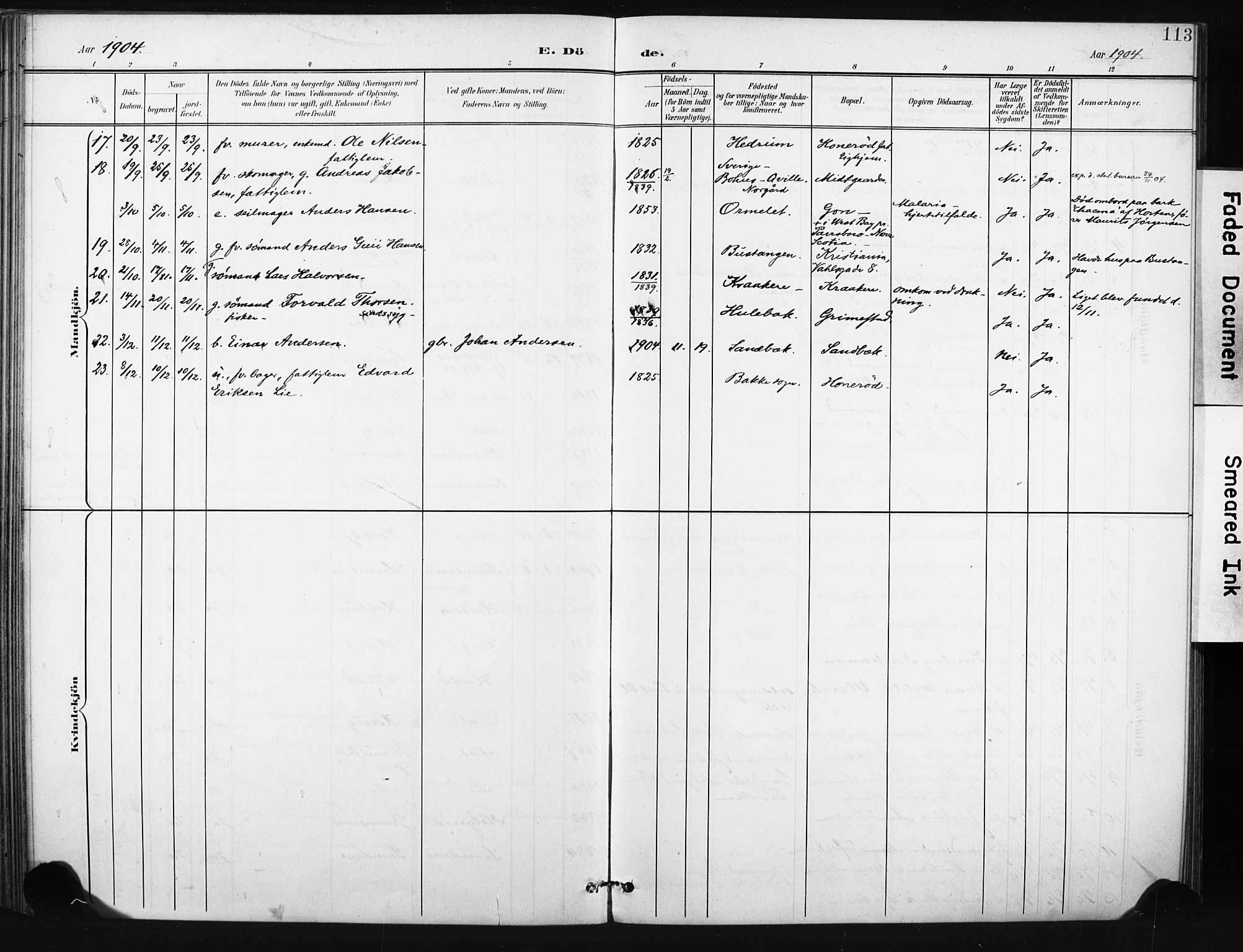 Tjøme kirkebøker, AV/SAKO-A-328/F/Fa/L0005: Parish register (official) no. I 5, 1901-1909, p. 113