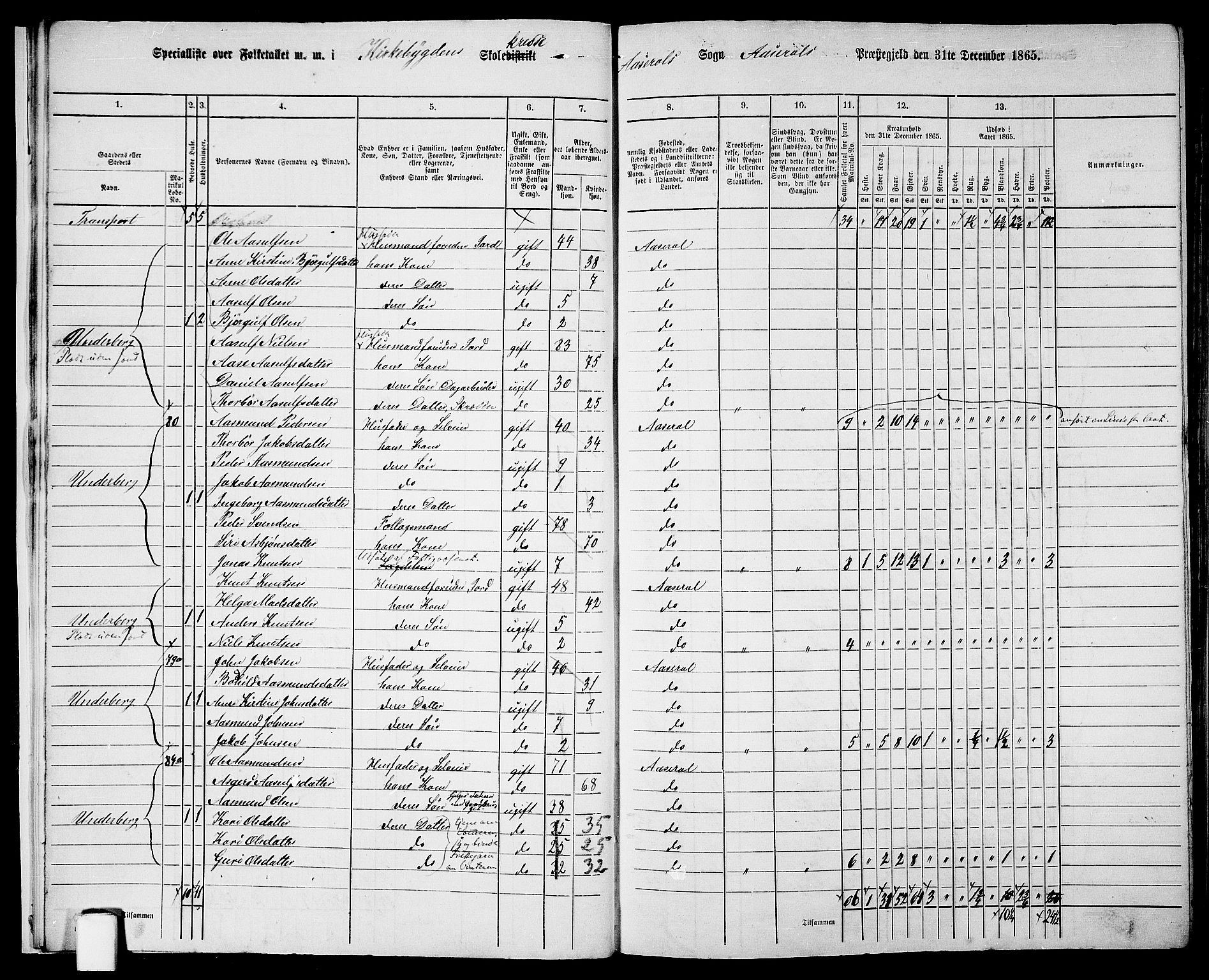 RA, 1865 census for Åseral, 1865, p. 12