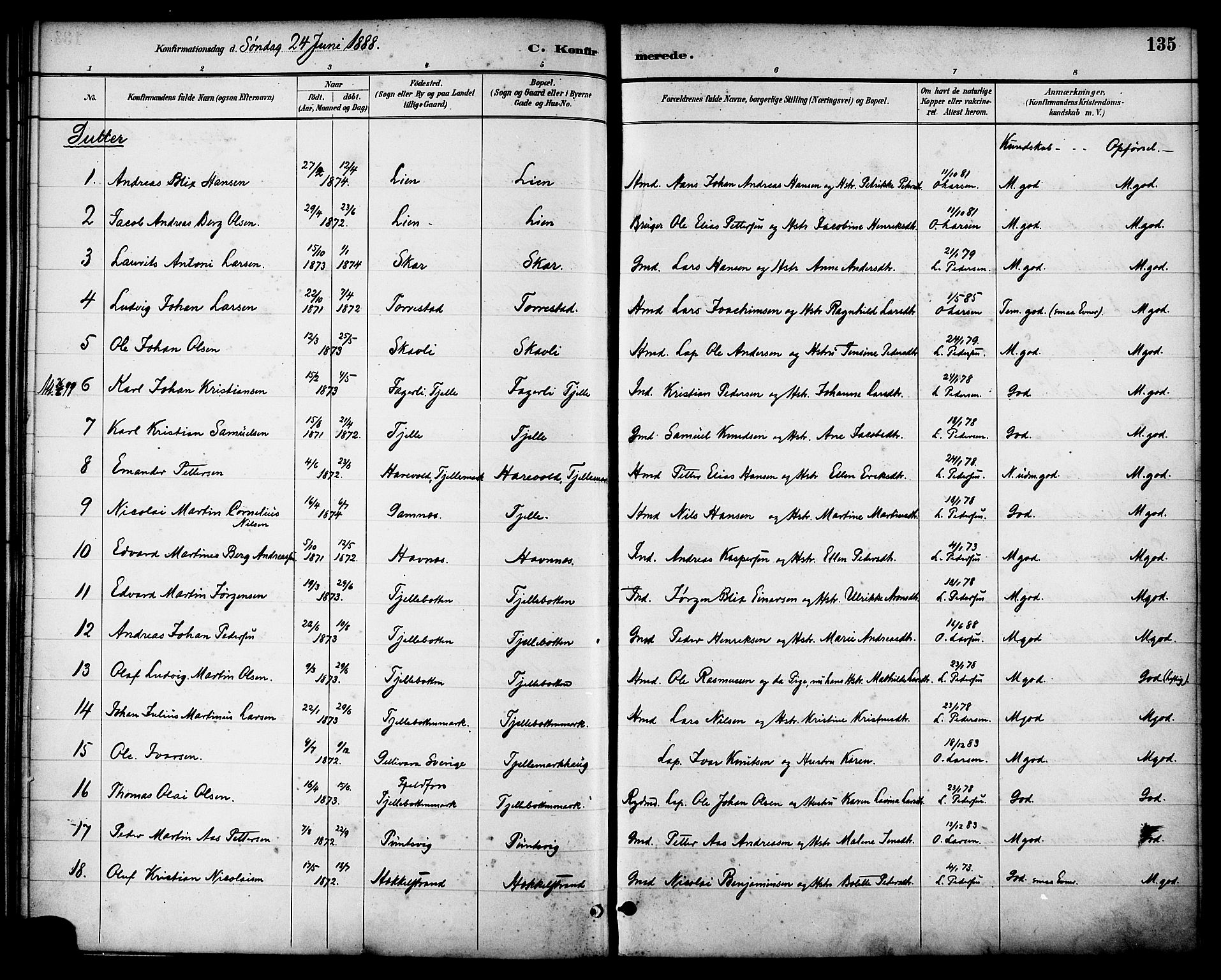 Ministerialprotokoller, klokkerbøker og fødselsregistre - Nordland, AV/SAT-A-1459/863/L0898: Parish register (official) no. 863A10, 1886-1897, p. 135