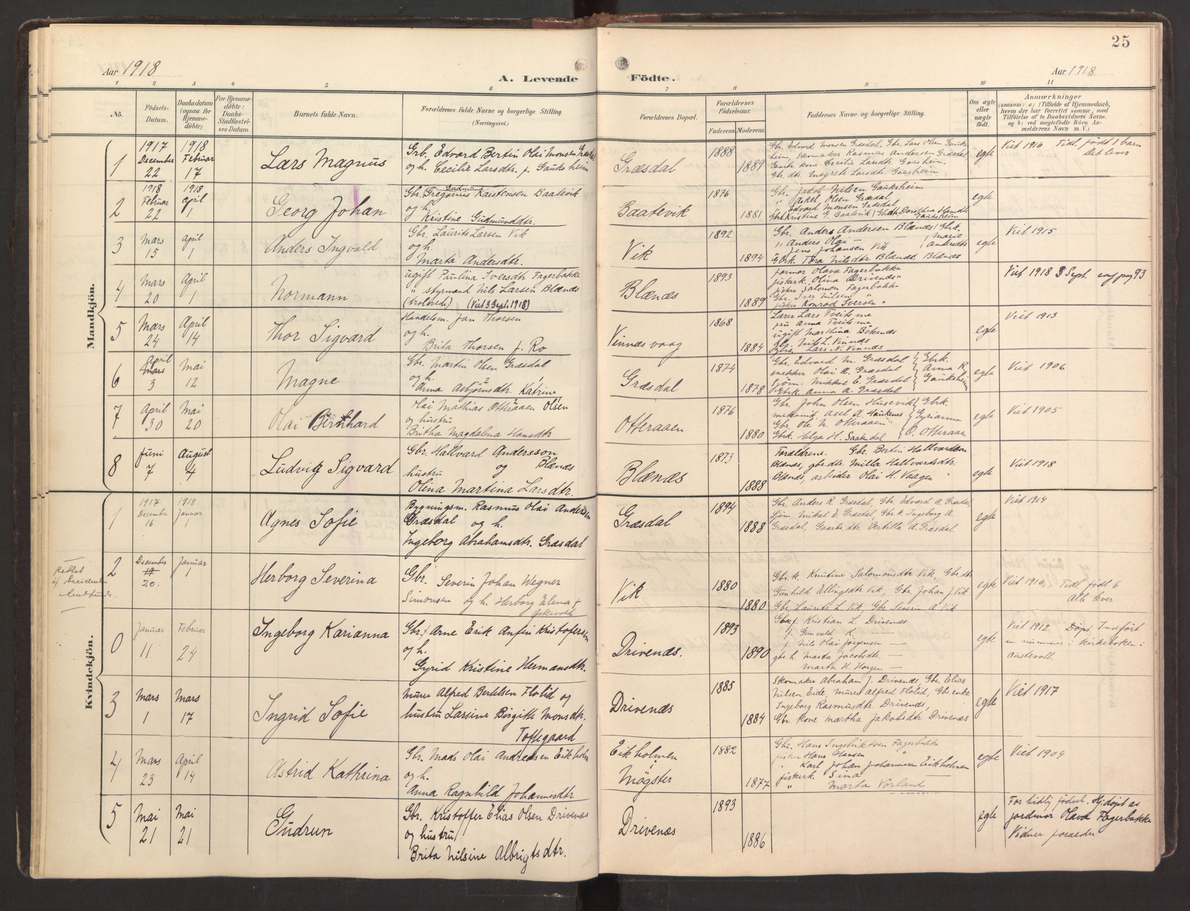 Fitjar sokneprestembete, SAB/A-99926: Parish register (official) no. B 1, 1900-1926, p. 25