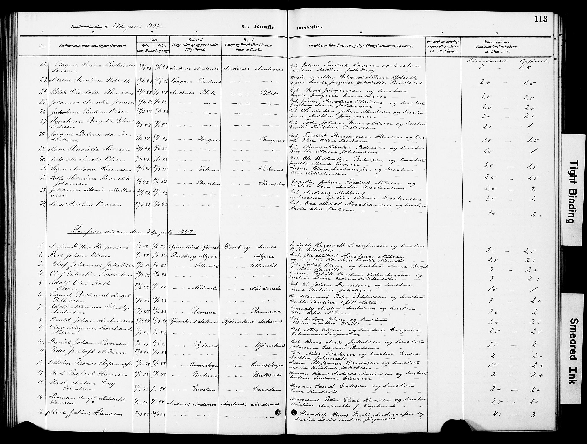 Ministerialprotokoller, klokkerbøker og fødselsregistre - Nordland, AV/SAT-A-1459/897/L1413: Parish register (copy) no. 897C03, 1887-1903, p. 113