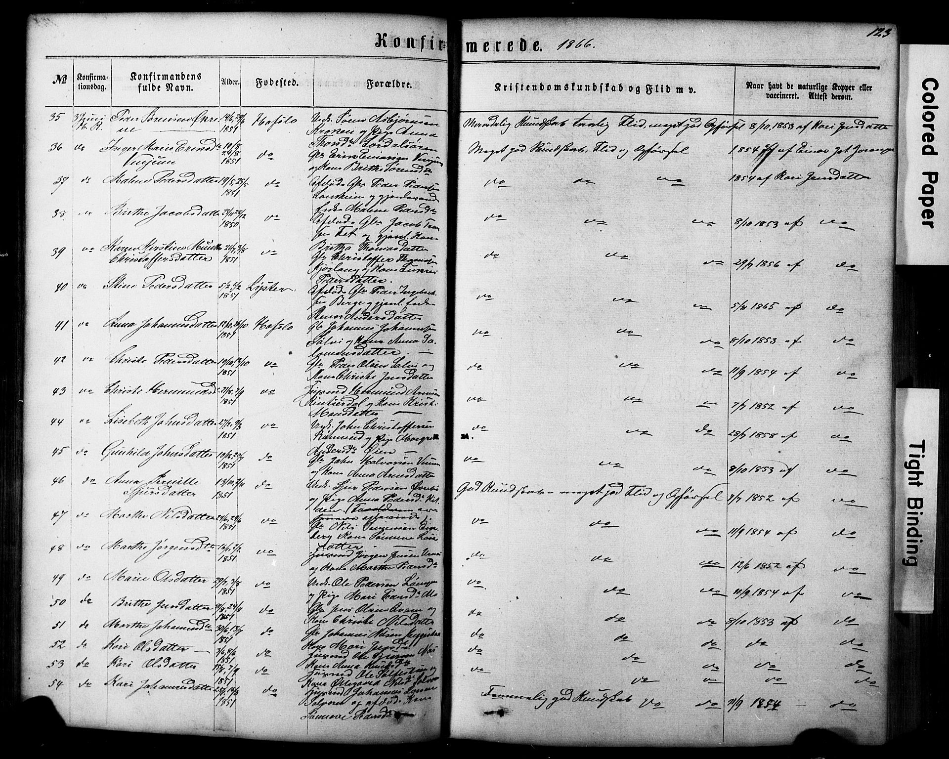 Hafslo sokneprestembete, SAB/A-80301/H/Hab/Haba/L0001: Parish register (copy) no. A 1, 1866-1908, p. 123