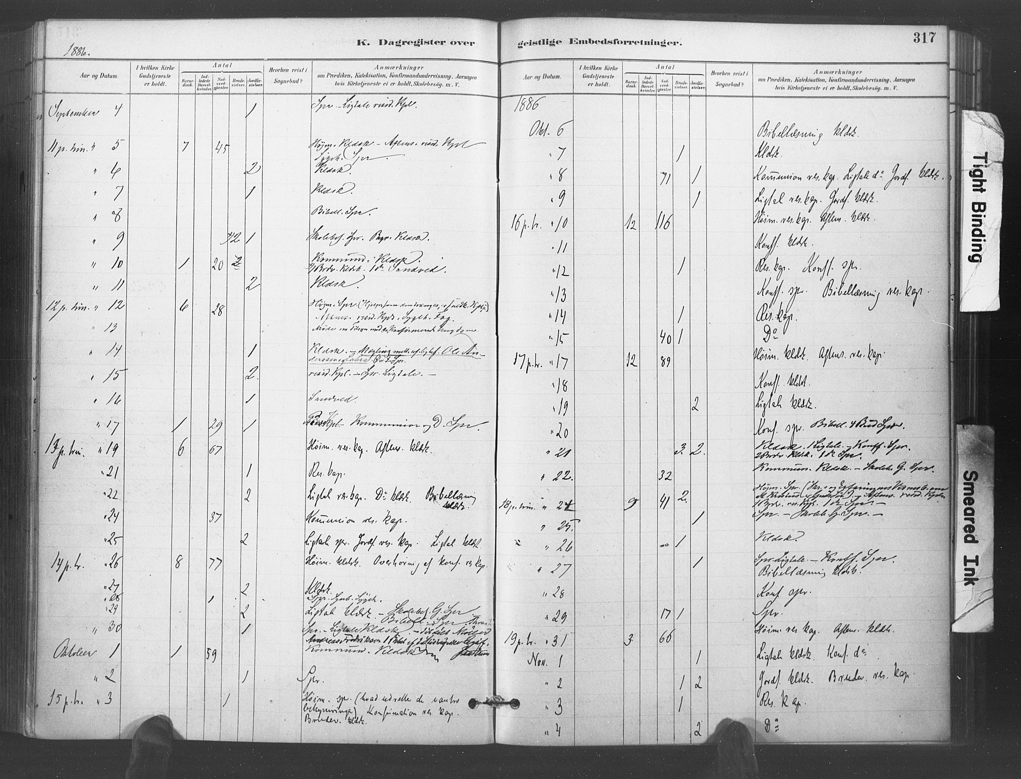 Kristiansand domprosti, AV/SAK-1112-0006/F/Fa/L0018: Parish register (official) no. A 17, 1880-1892, p. 317