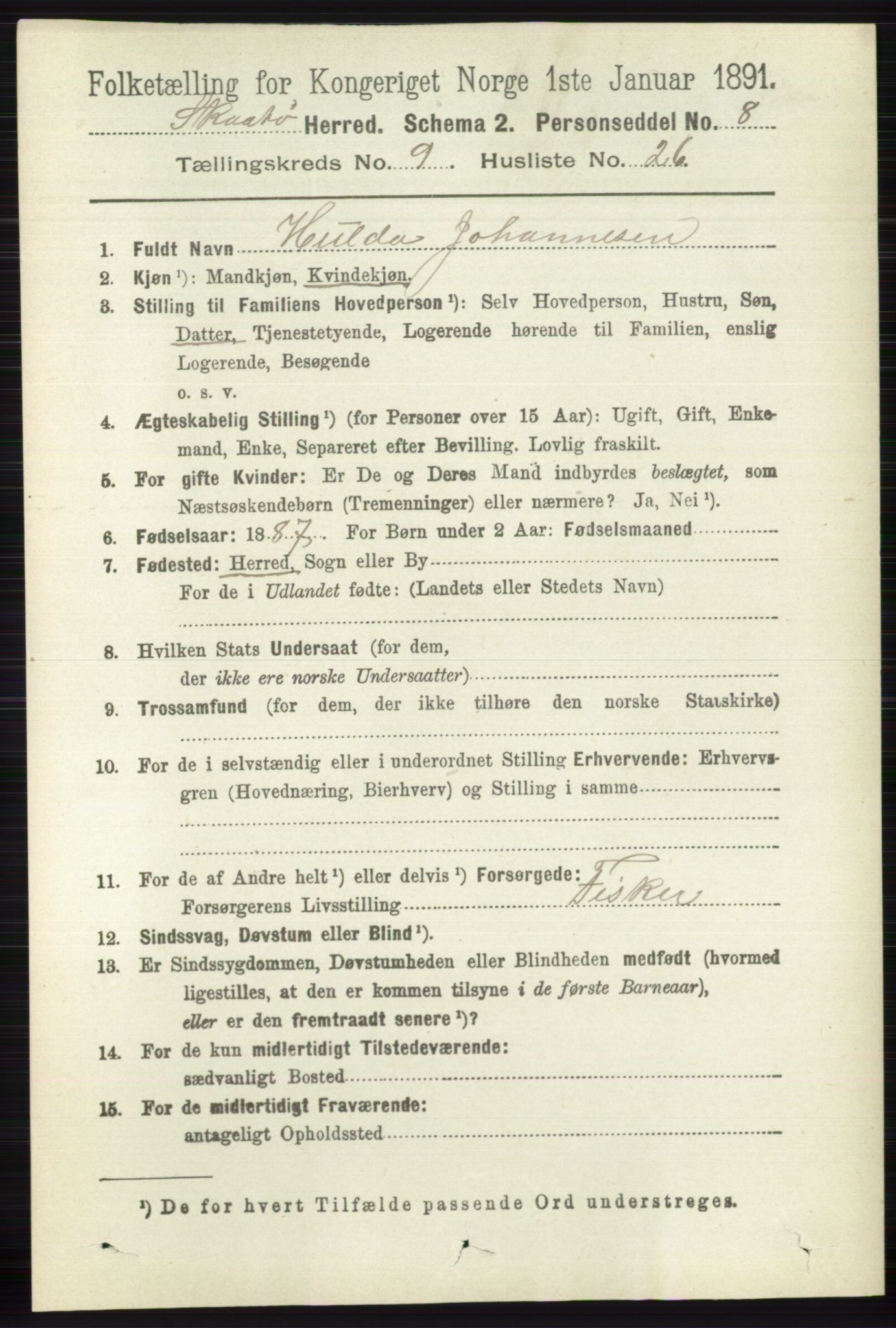 RA, 1891 census for 0815 Skåtøy, 1891, p. 4009