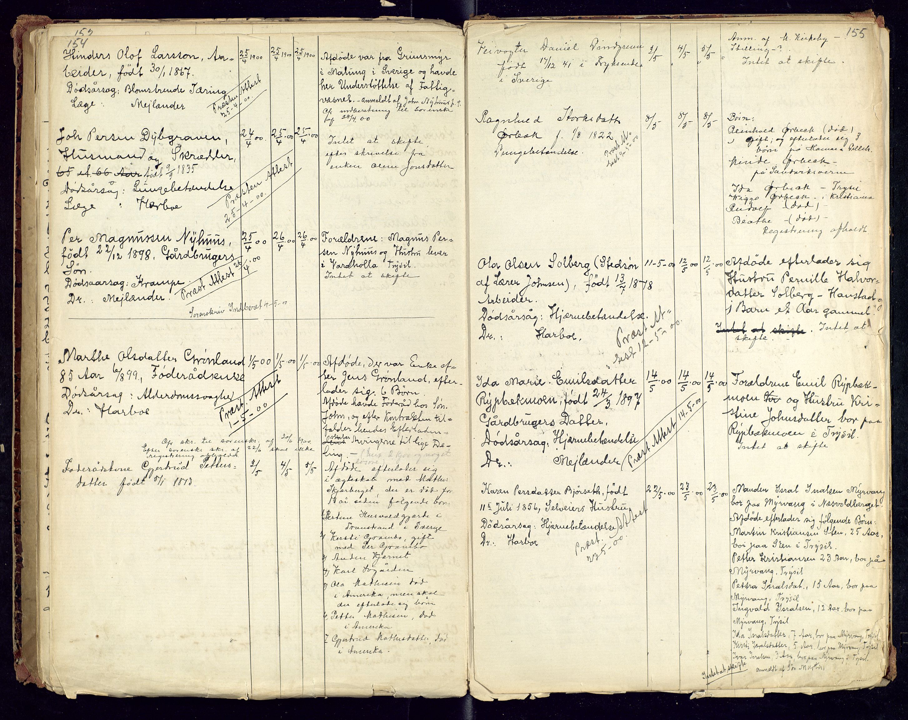 Trysil lensmannskontor, SAH/LHT-026/H/Ha/L0001: Dødsfallsprotokoll, 1875-1901, p. 154-155