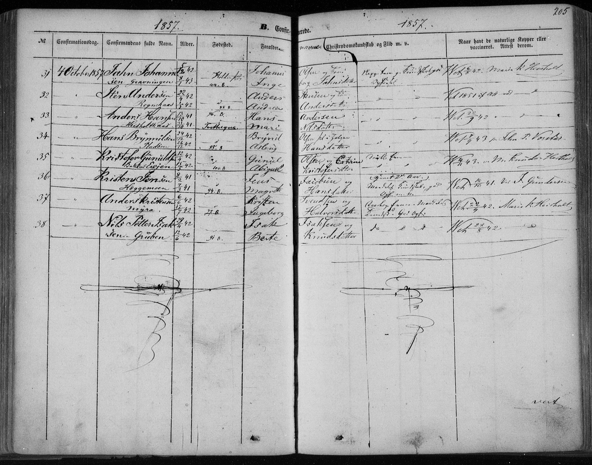 Holla kirkebøker, AV/SAKO-A-272/F/Fa/L0005: Parish register (official) no. 5, 1849-1860, p. 205