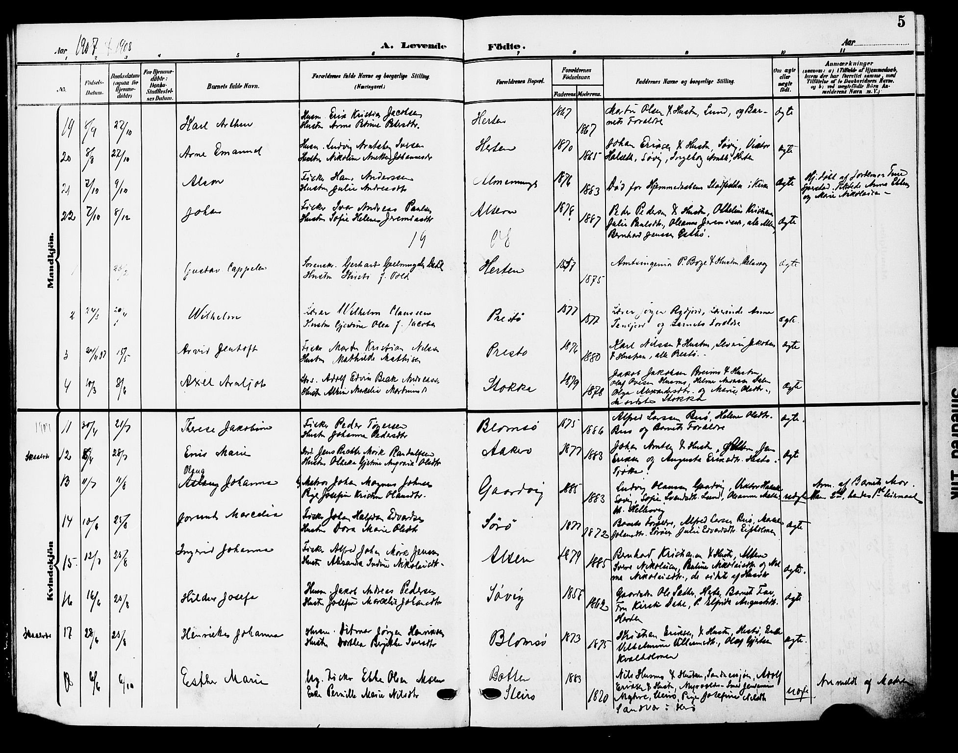 Ministerialprotokoller, klokkerbøker og fødselsregistre - Nordland, AV/SAT-A-1459/830/L0464: Parish register (copy) no. 830C06, 1906-1925, p. 5