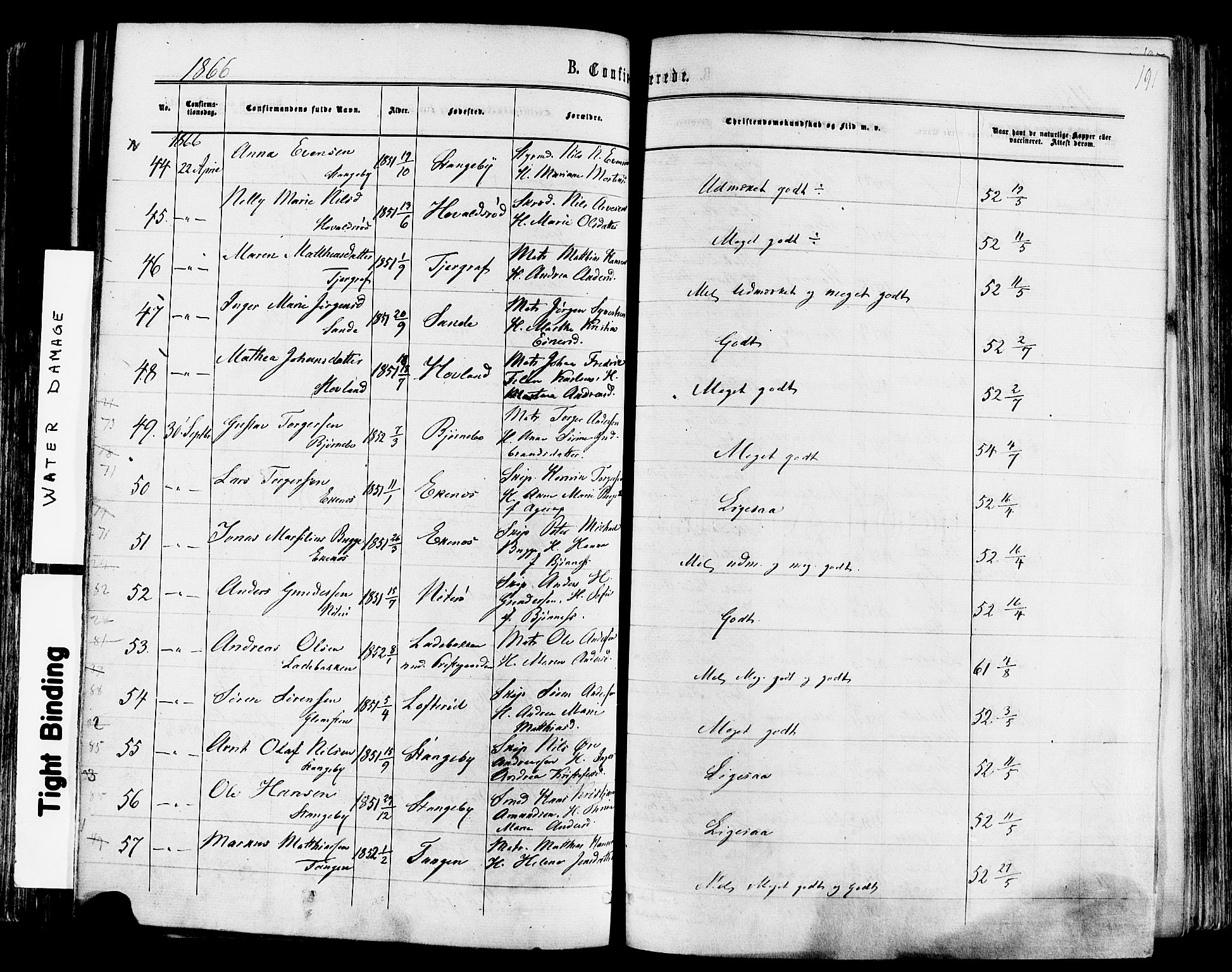 Nøtterøy kirkebøker, AV/SAKO-A-354/F/Fa/L0007: Parish register (official) no. I 7, 1865-1877, p. 191