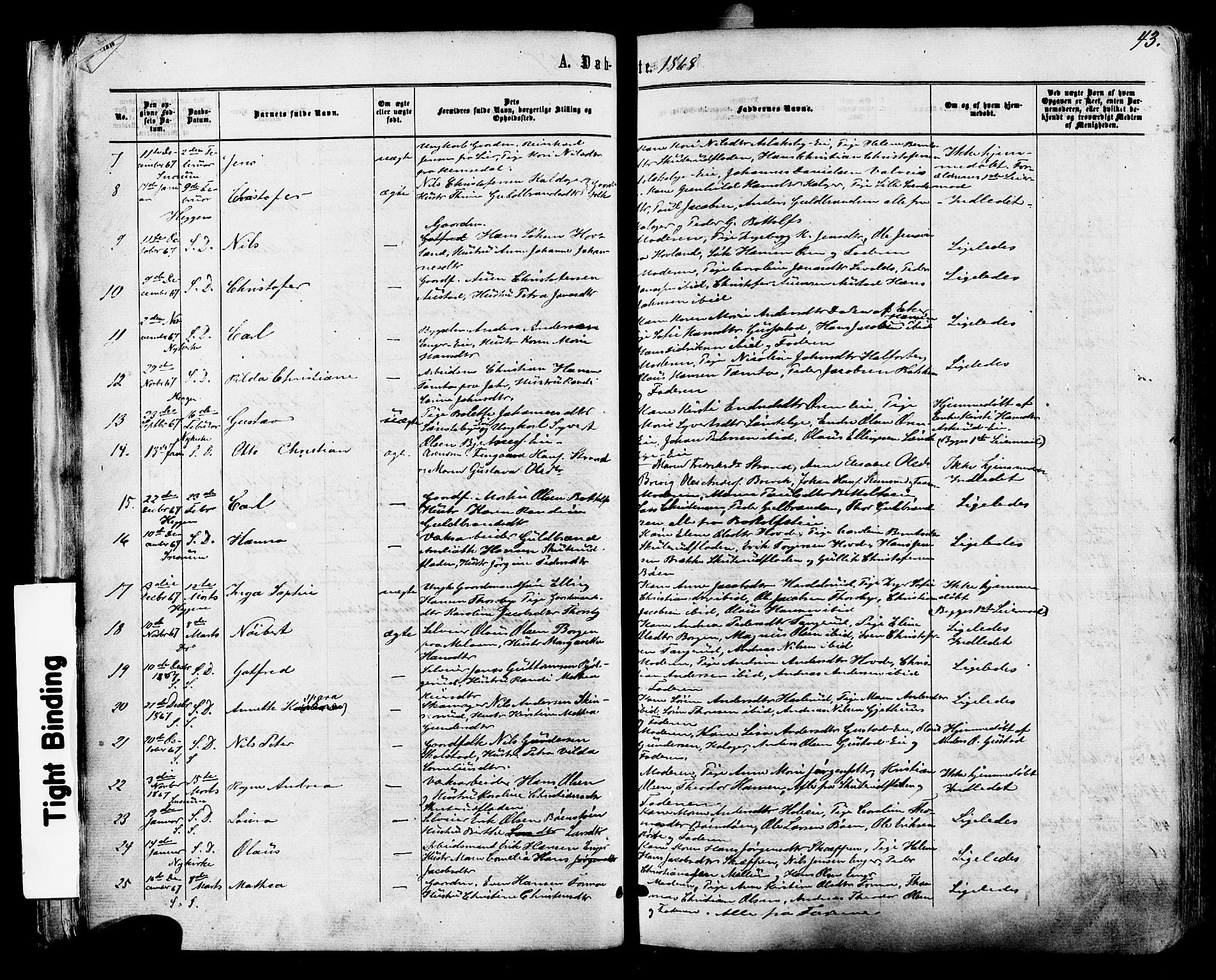 Modum kirkebøker, SAKO/A-234/F/Fa/L0010: Parish register (official) no. 10, 1865-1876, p. 43