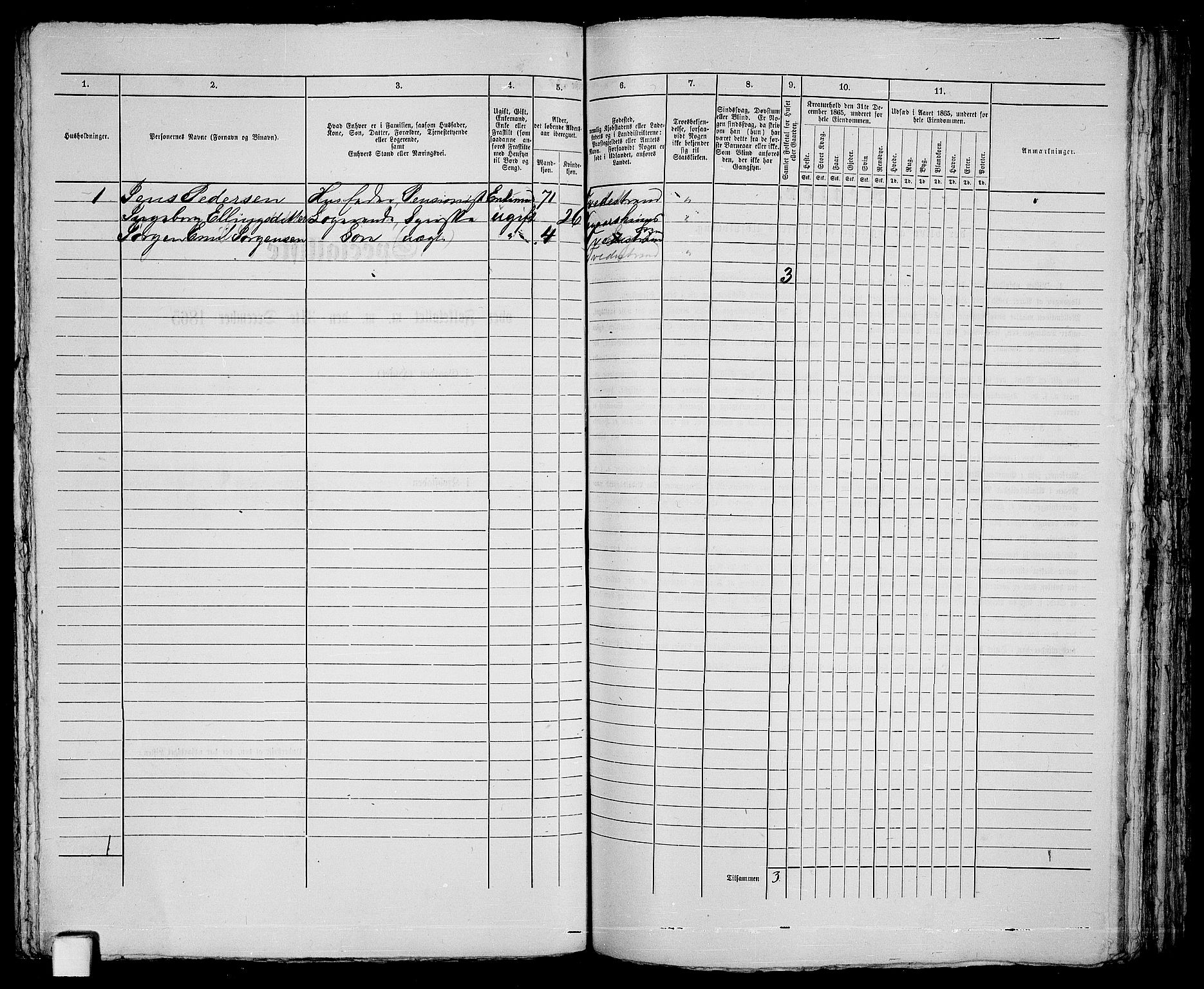 RA, 1865 census for Holt/Tvedestrand, 1865, p. 206