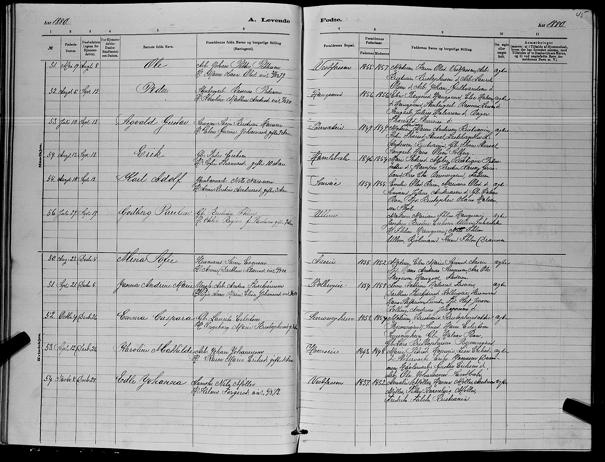 Eiker kirkebøker, AV/SAKO-A-4/G/Ga/L0005: Parish register (copy) no. I 5, 1878-1887, p. 45