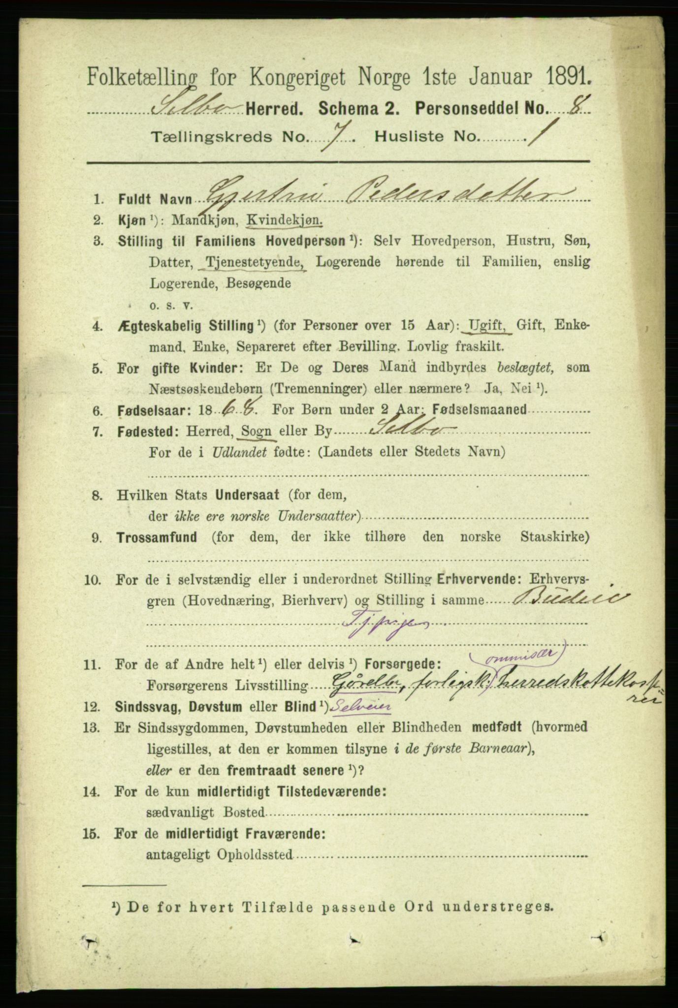 RA, 1891 census for 1664 Selbu, 1891, p. 2575